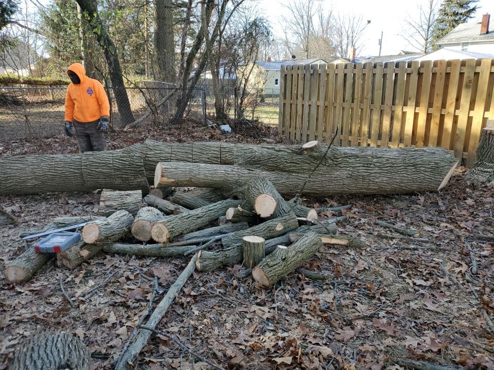 Tree Removal using Tree Removal by Mike Jones & Sons Tree Service LLC 