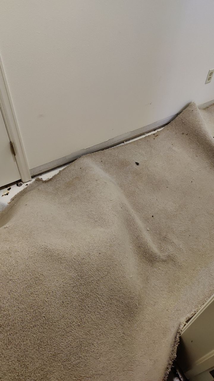 Water Damage by Accountable Home Services