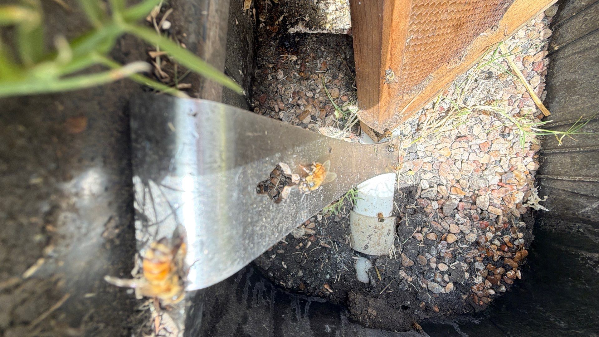 A Rocky Road Ahead by Rockwall Honey Bee Company