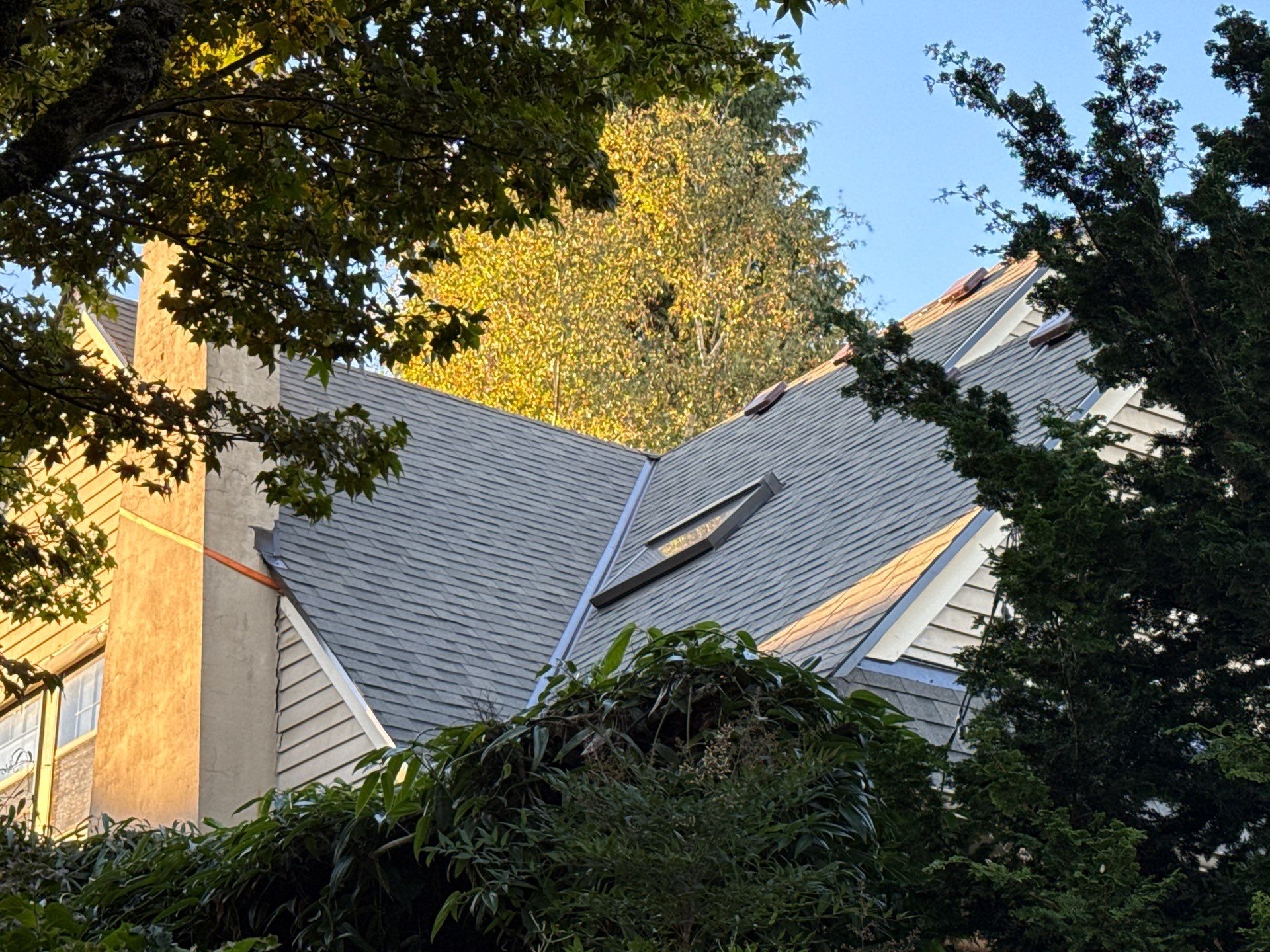 Tom Leach Roofing featured photo.