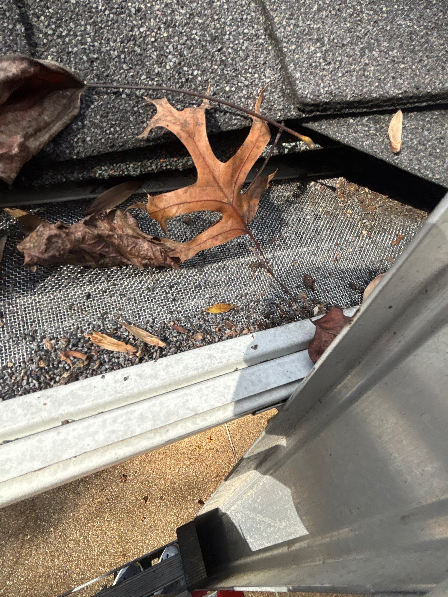 Project in  Richmond by Roof Maxx of Midlothian