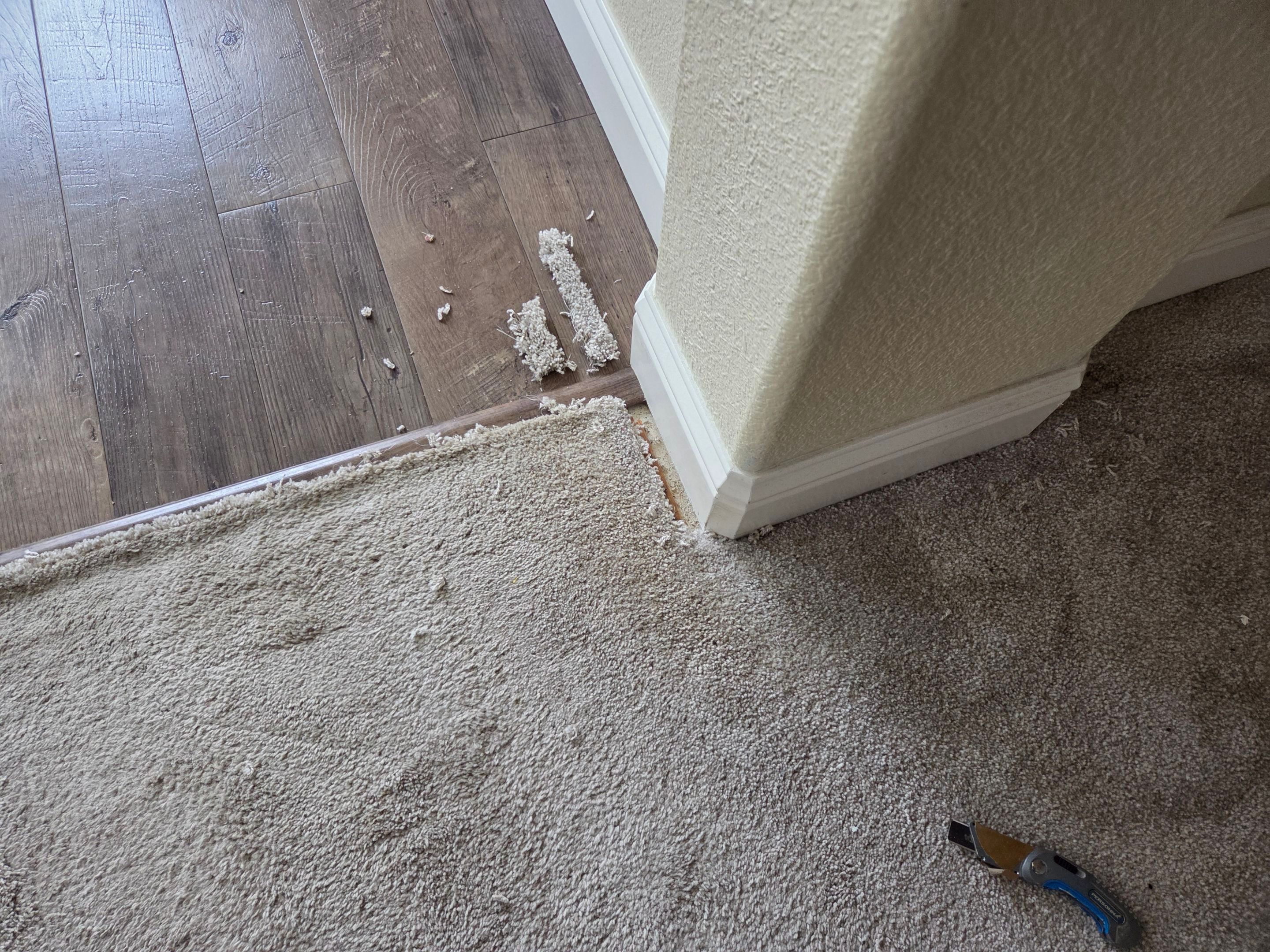 Carmichael Carpet Re-stretching and Cleaning by Ardent Carpet Restore LLC