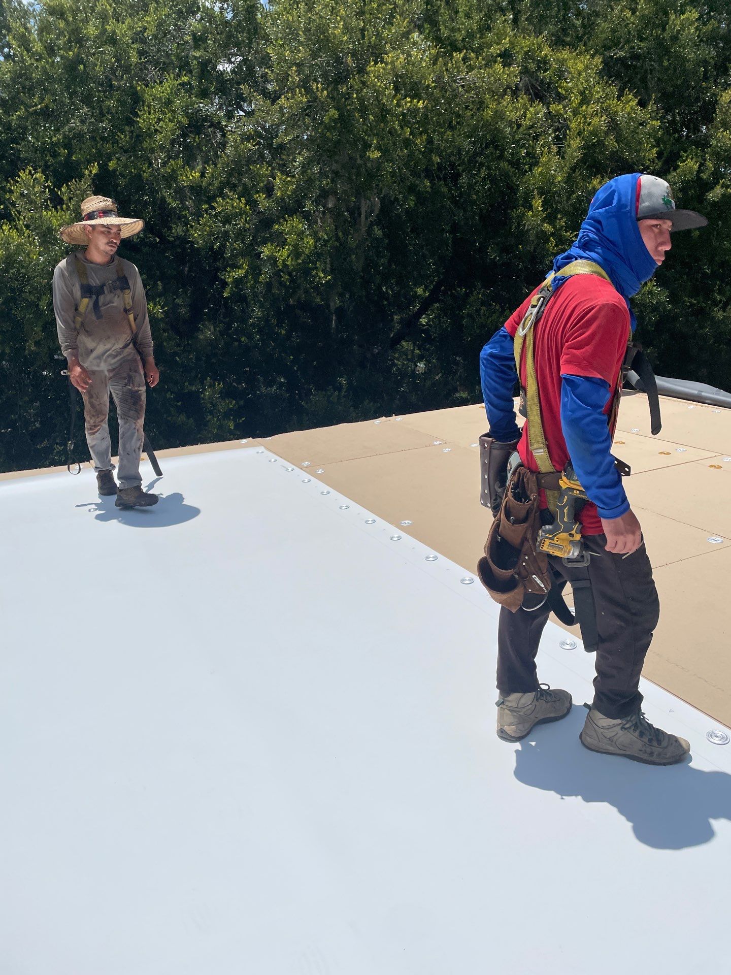 Commercial Recovery TPO Roof by First Due Roofing