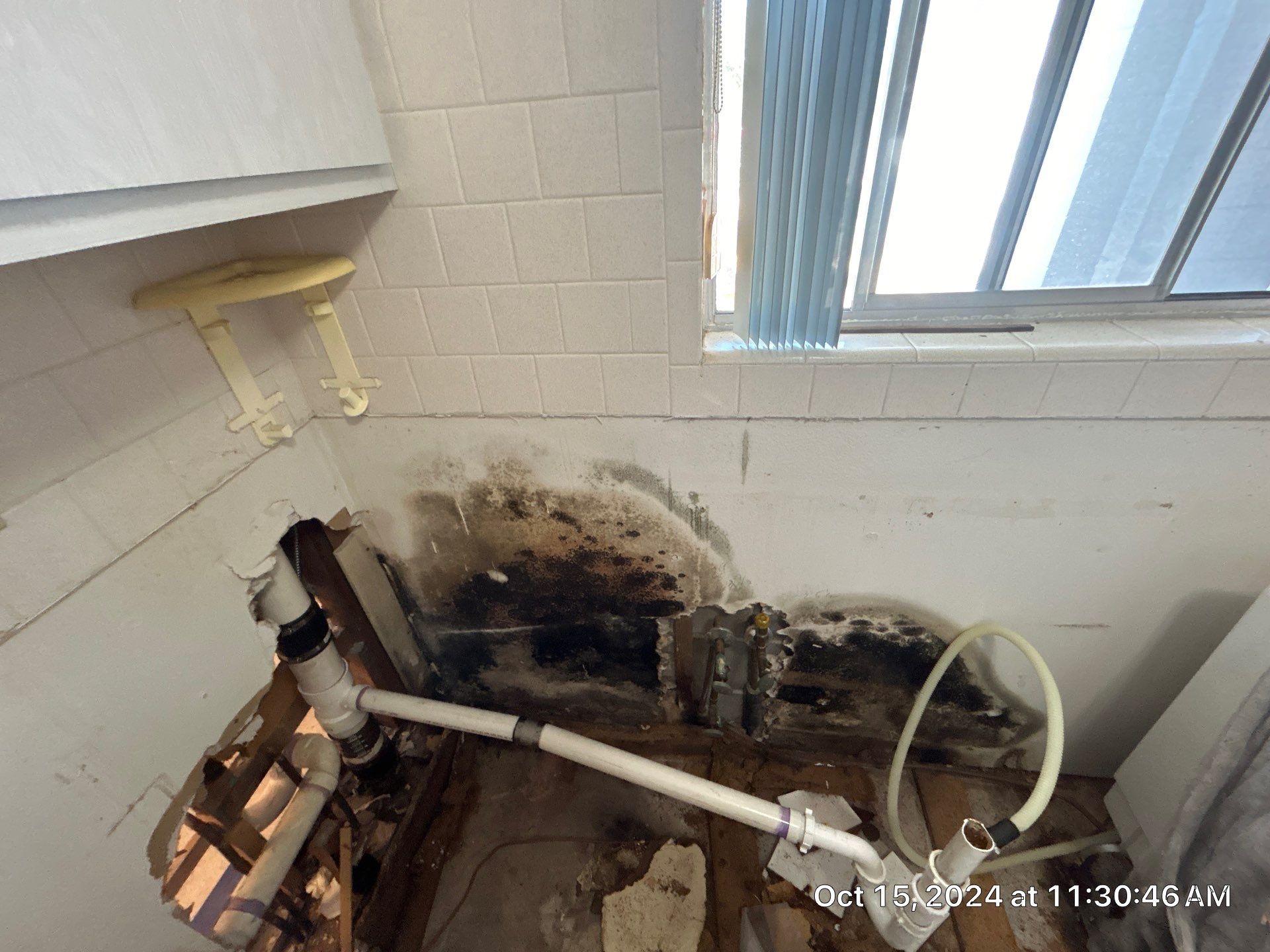 Mold Inspection by Ampm Restoration Services