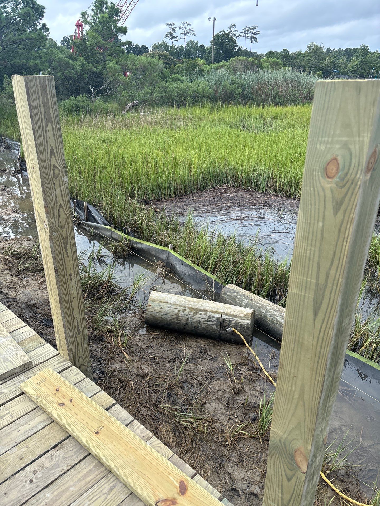 Project in Virginia Beach by Gregory Sandstrom