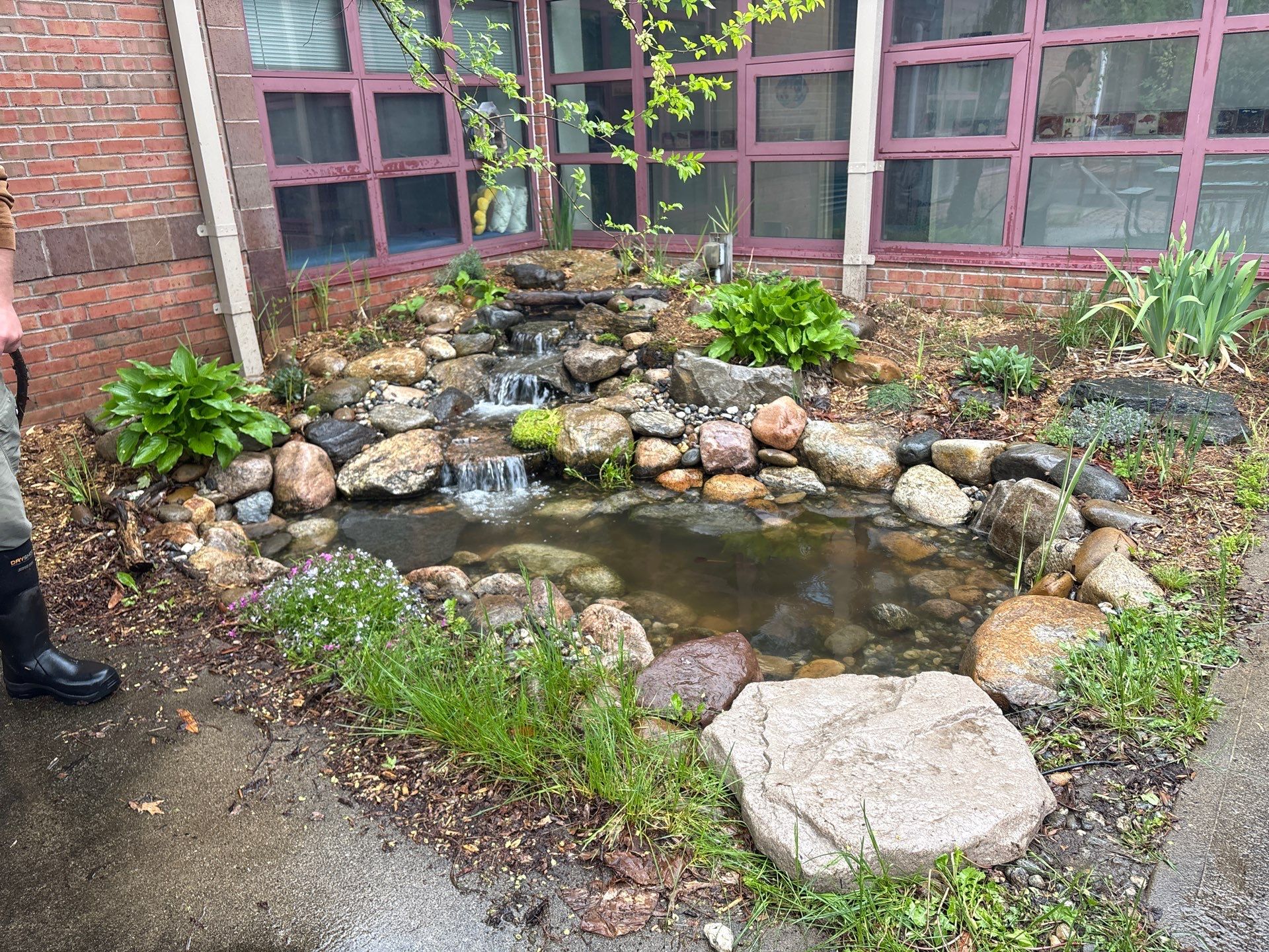 Deerfield Elementary School Koi Pond Build by Wicked Water Gardens