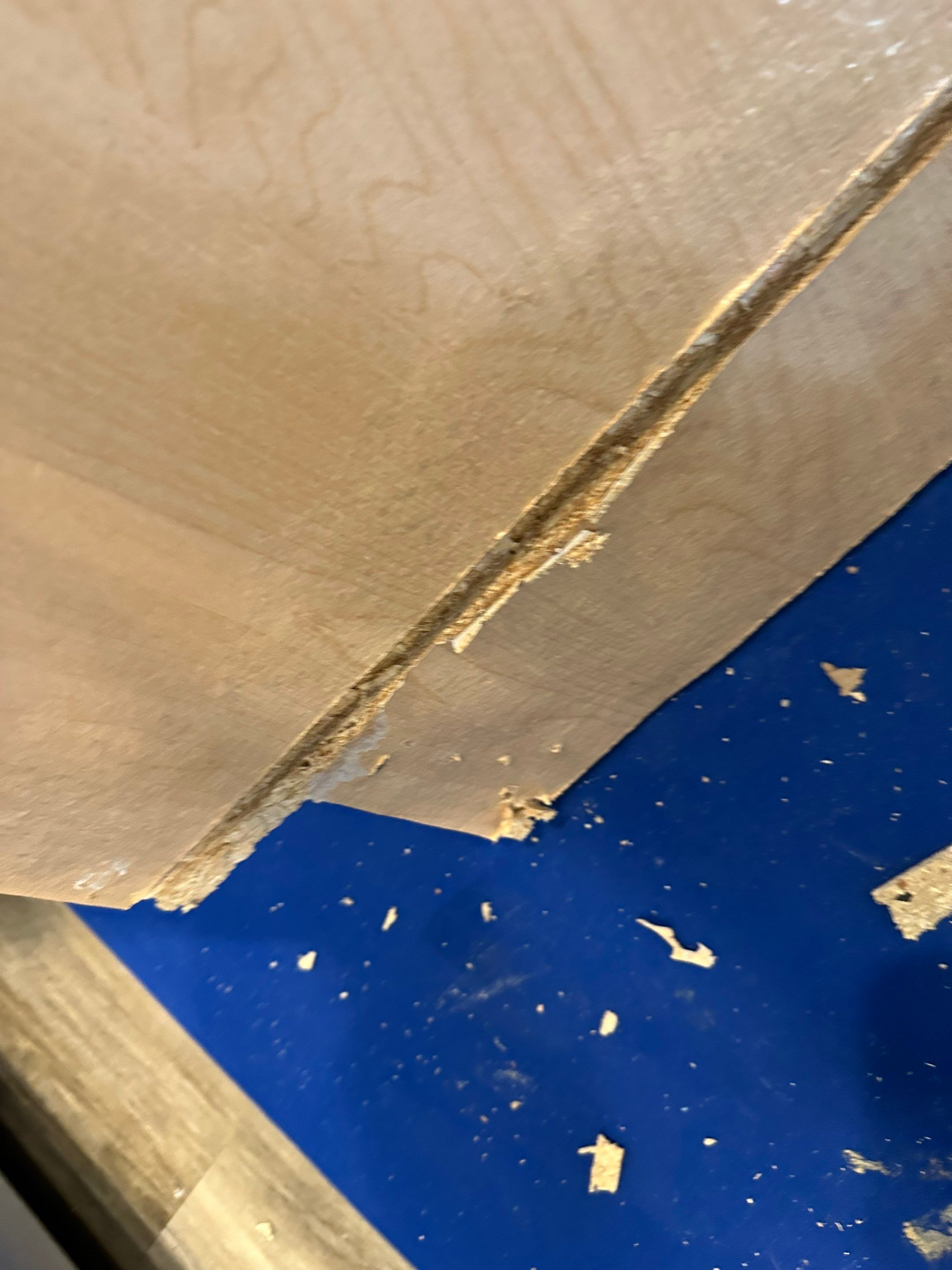 Water Damage in Aurora, CO by Alpha Restoration 
