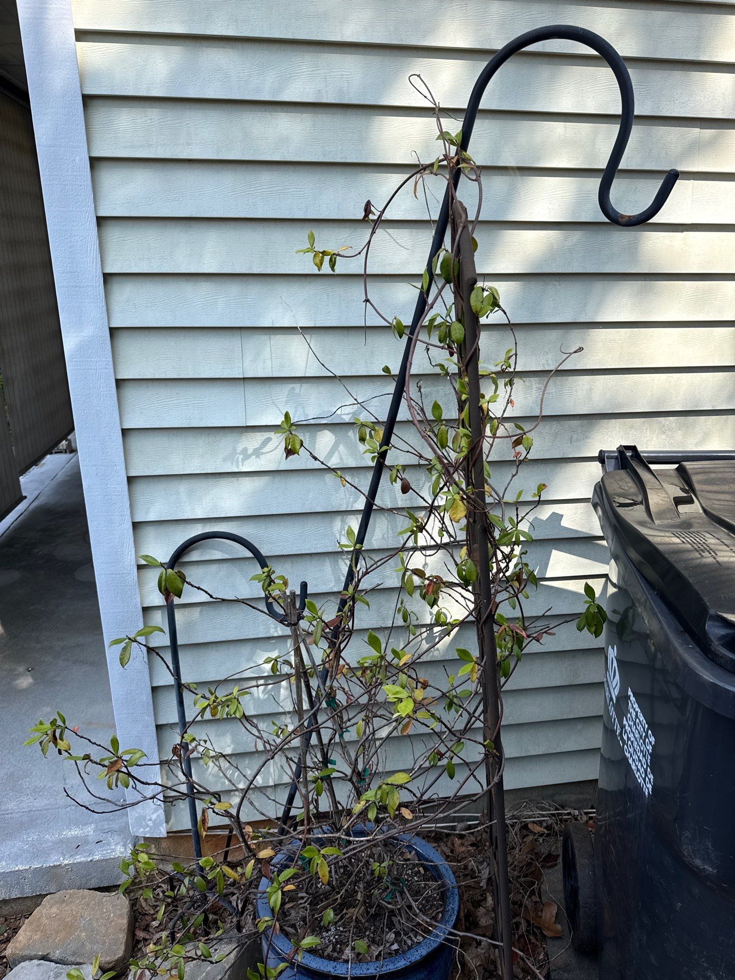 Project in Charlotte by Badger Hauling