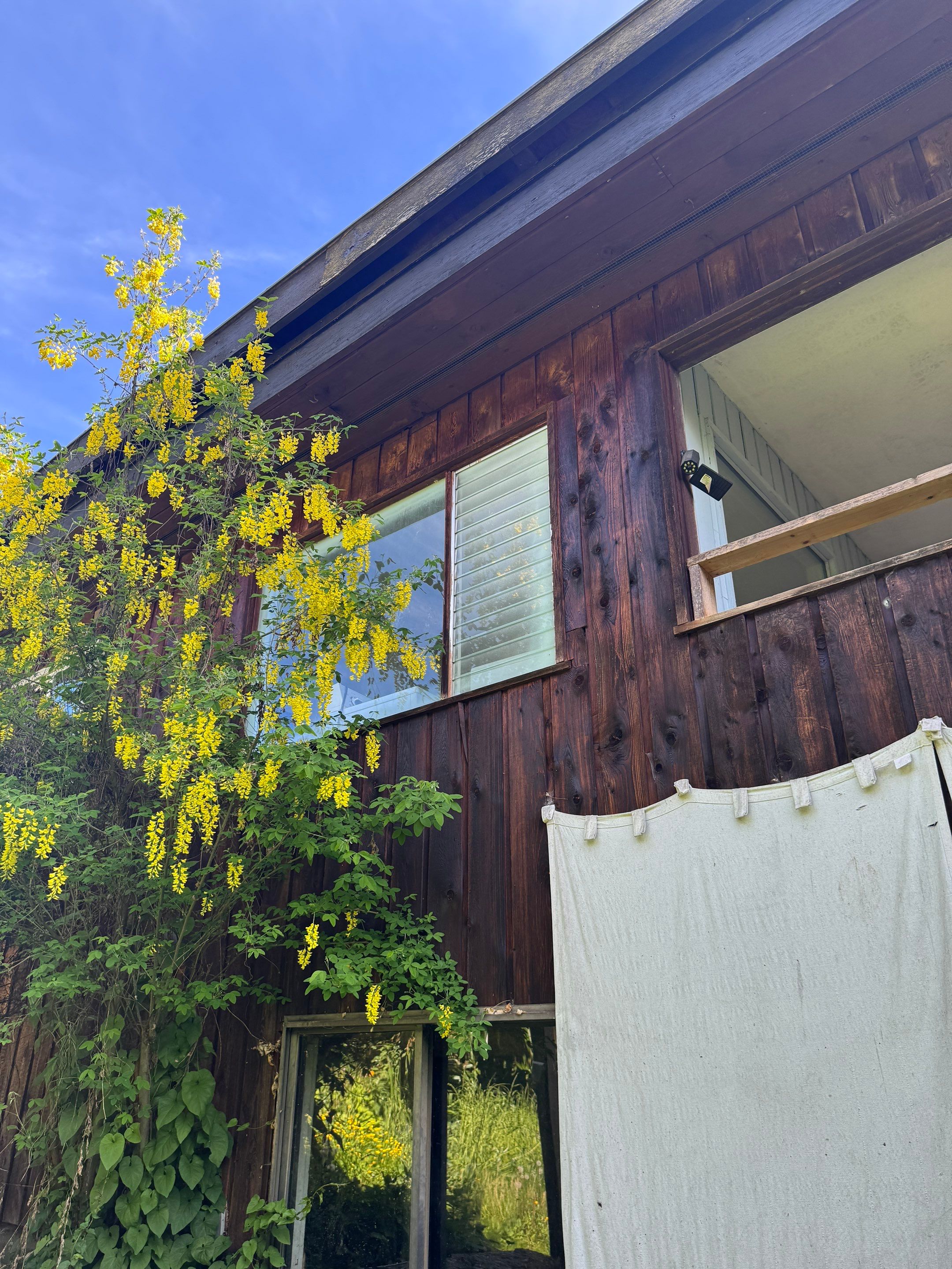 House Renovation - 25th st- West Vancouver by YVR Construction Group