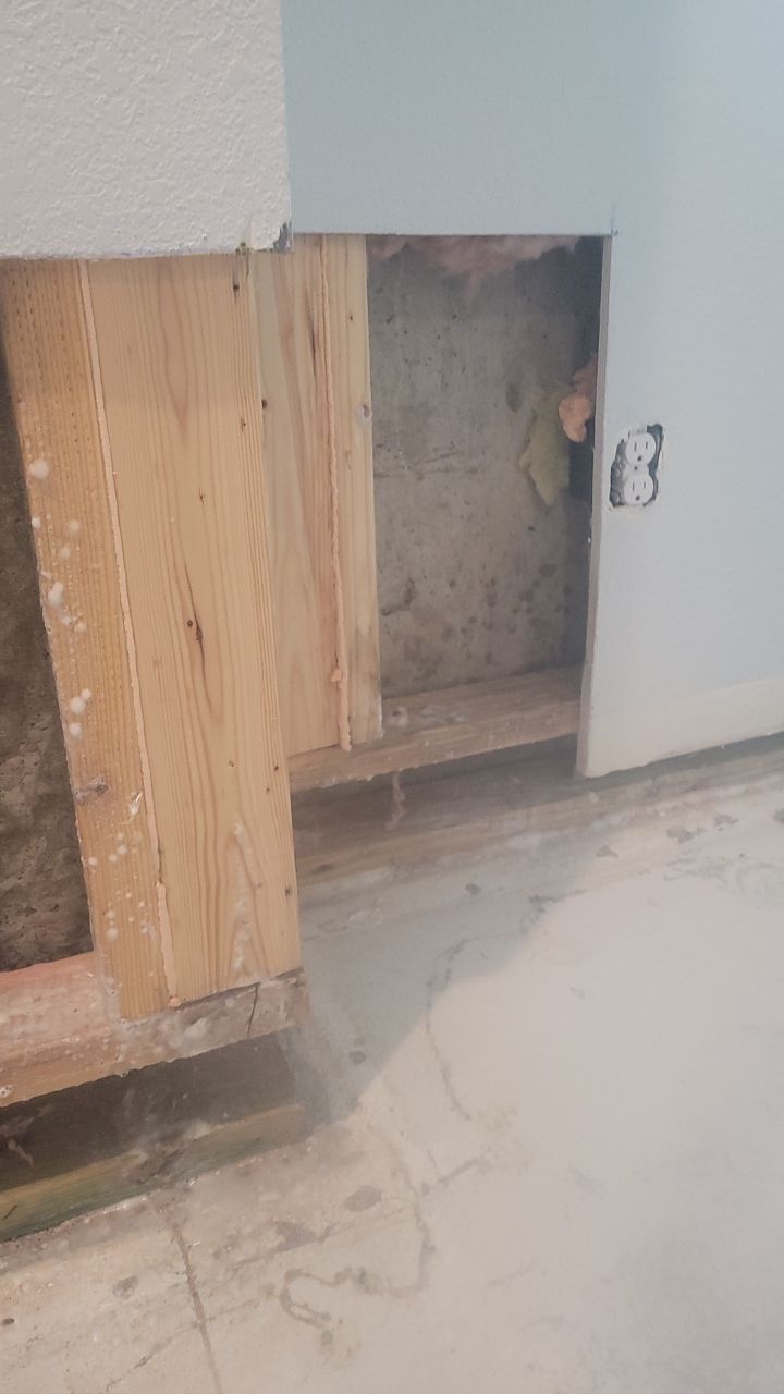 Mold Remediation  by Accountable Home Services