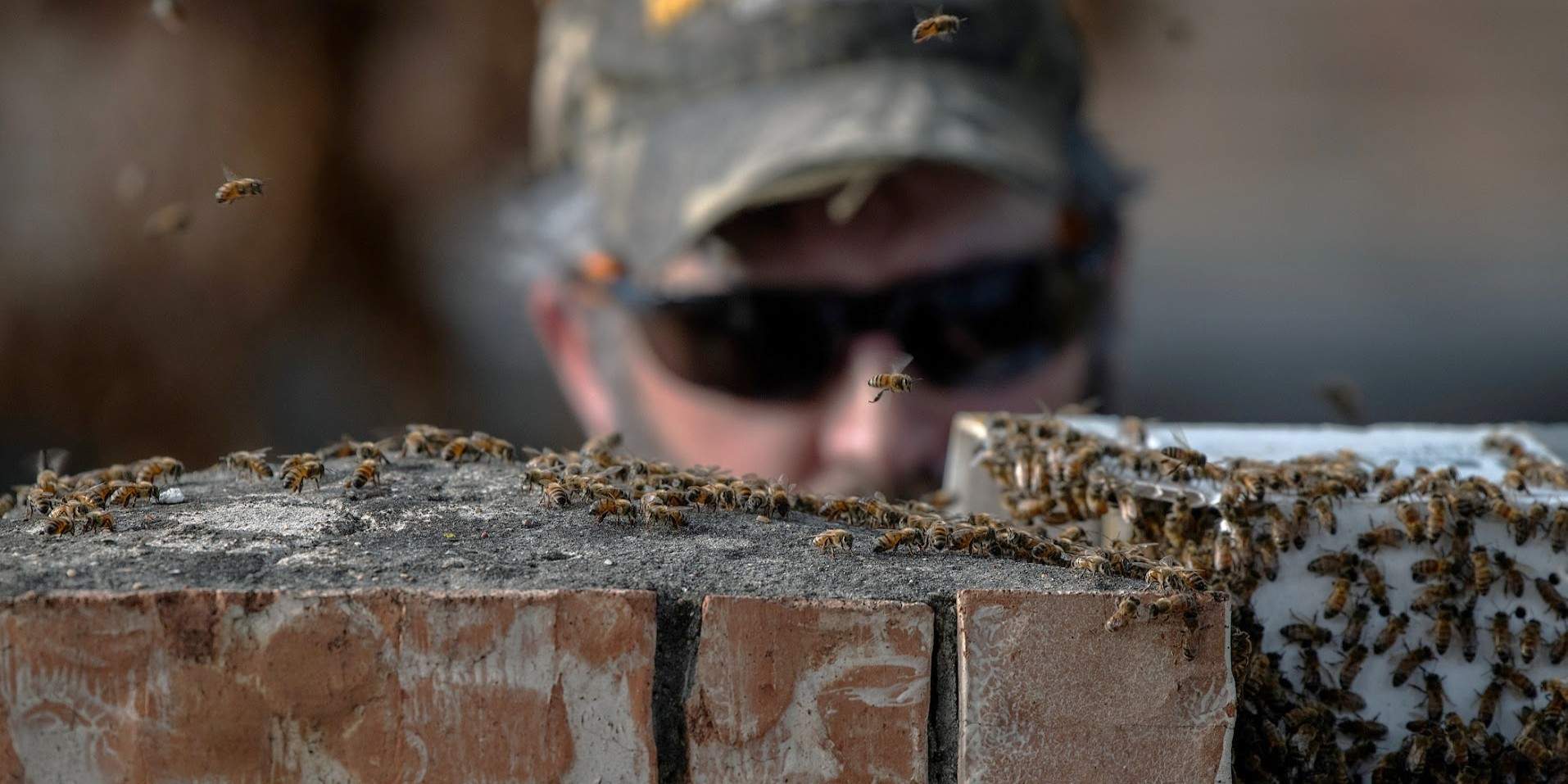 Brick Column by Rockwall Honey Bee Company