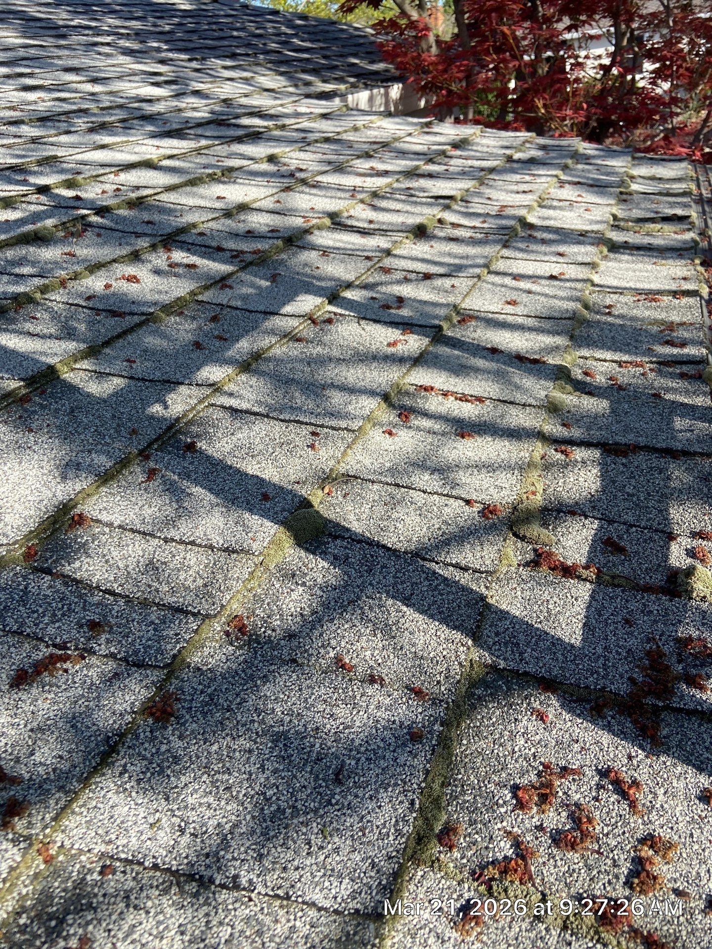 Roof Rejuvenation using Roof Maxx Treatment by Roof Maxx of Folsom