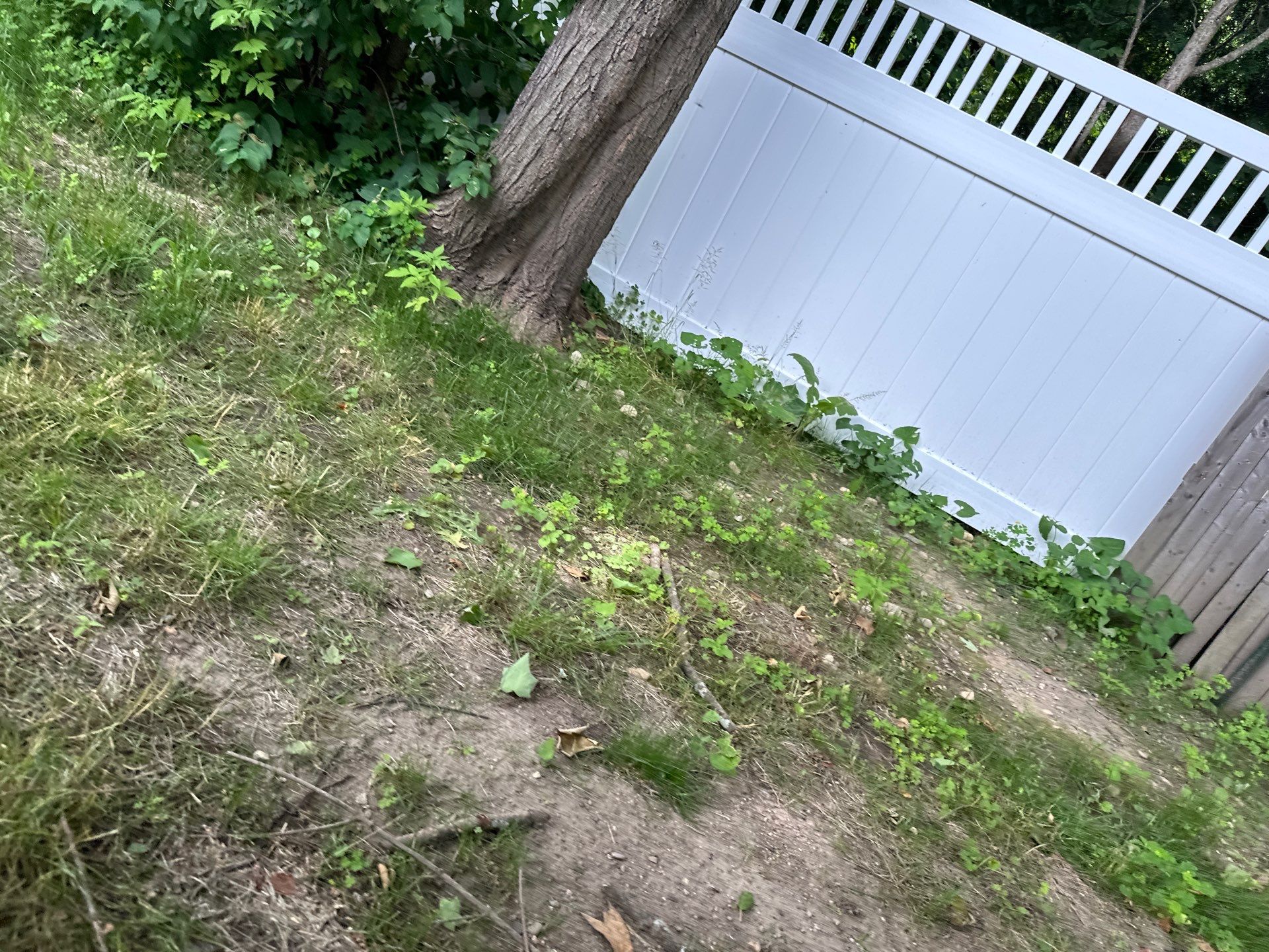 Creating a safe basement with radon mitigation by TMS Services
