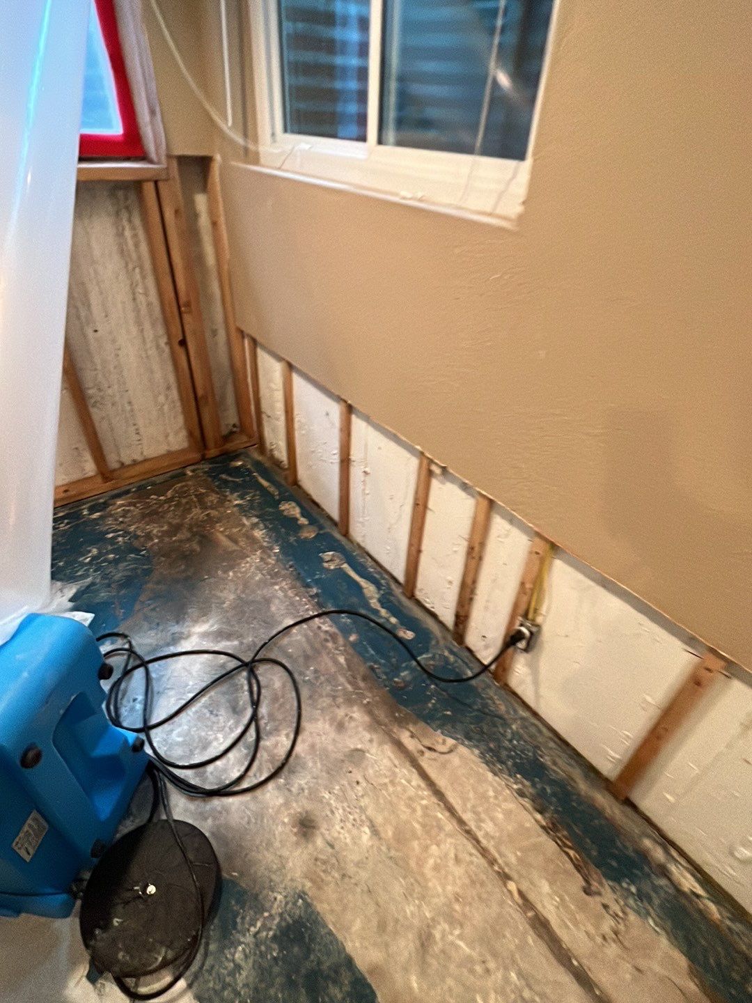 Mold Damage by Accountable Home Services