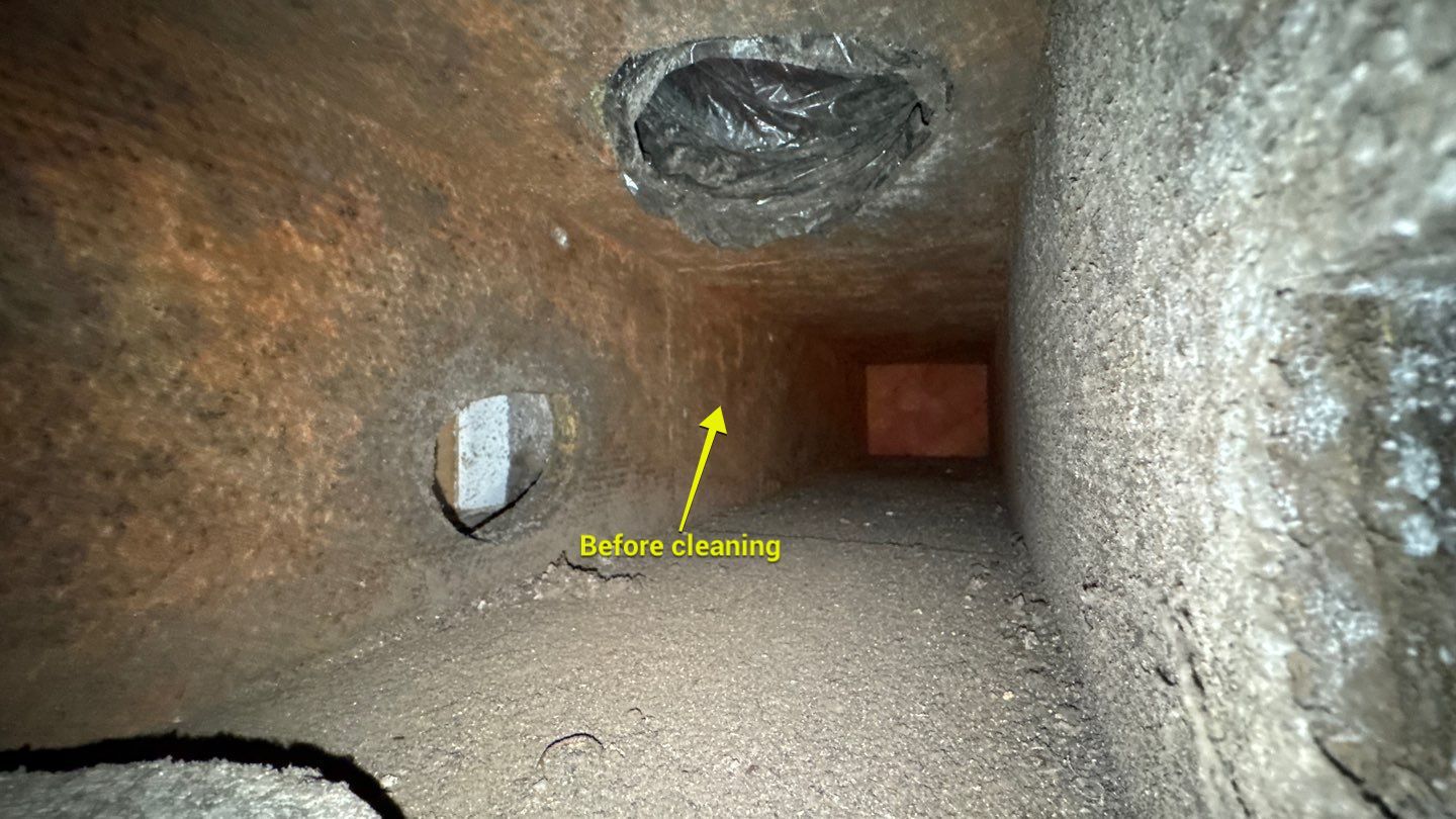 Extremely Dirty Air Duct Cleaning in Fruitland Park by Hygienic Air, Inc