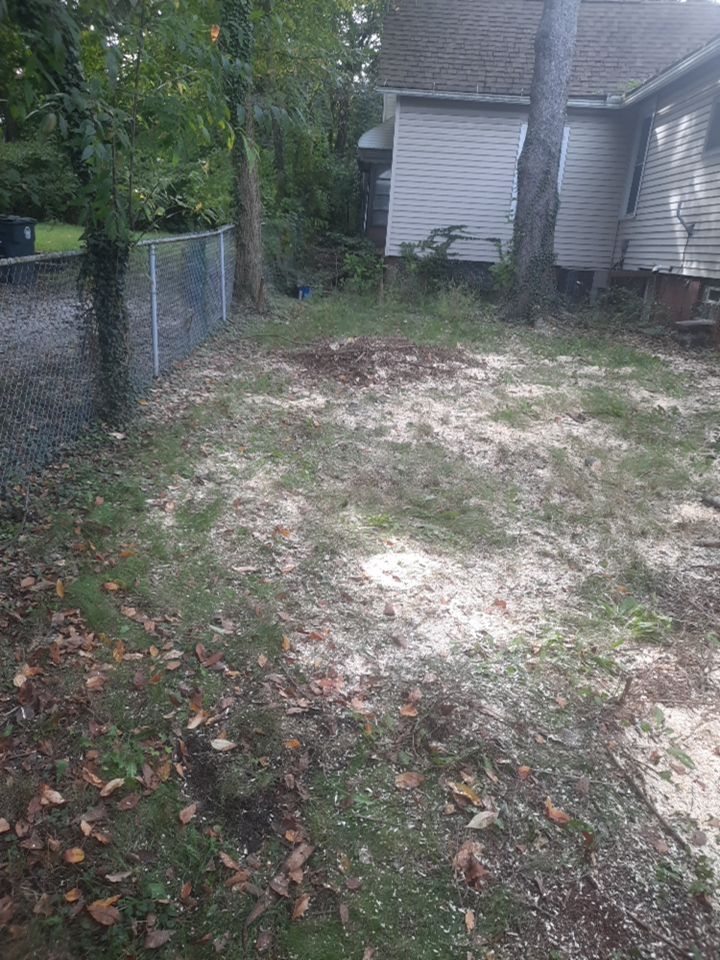 Tree Removal using Tree Removal by Mike Jones & Sons Tree Service LLC 