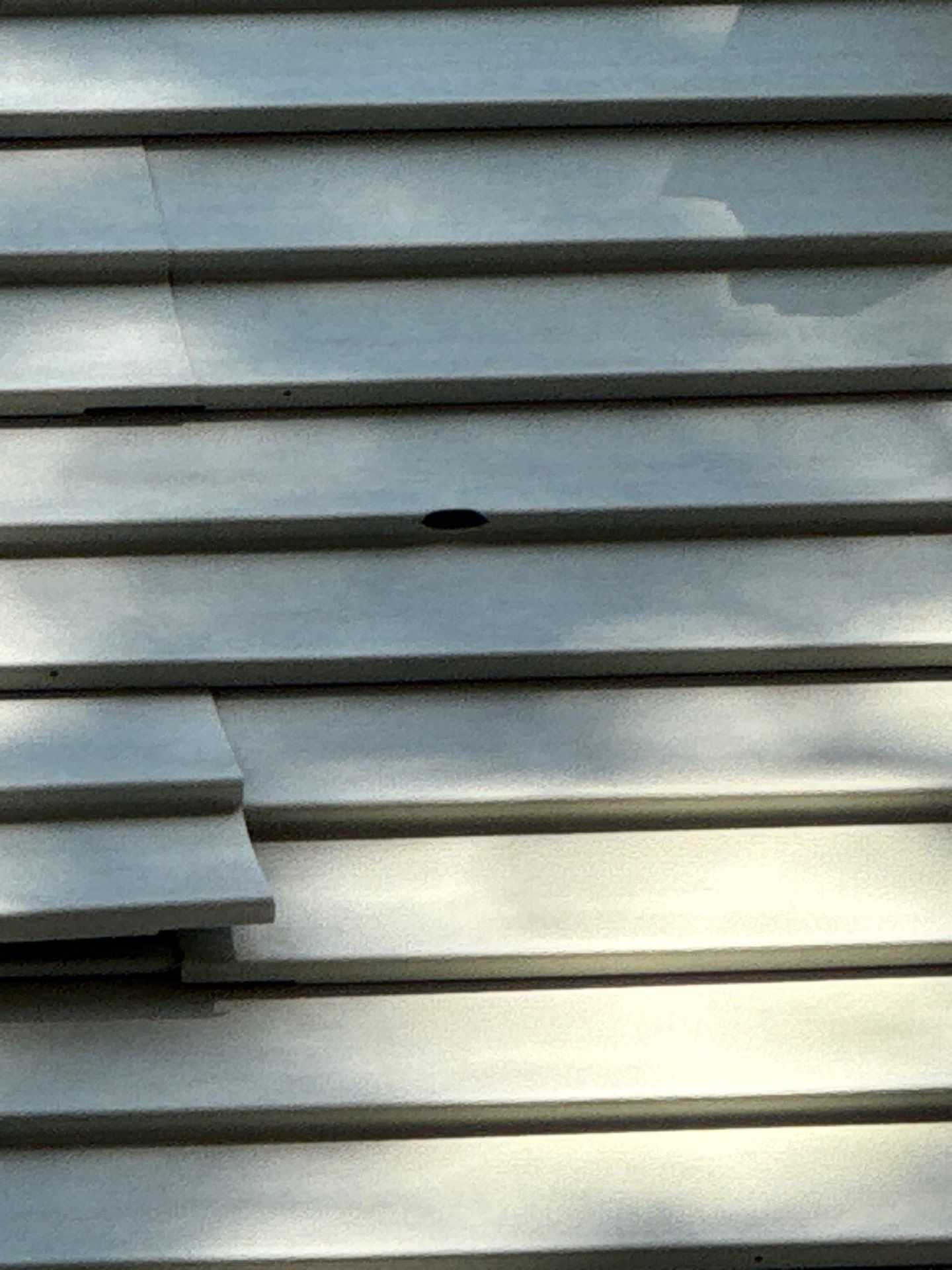 Siding | Waltham by Mighty Dog Roofing of Greater Middlesex County
