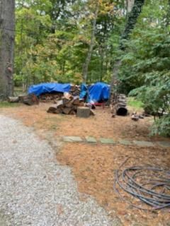 Firewood Delivery  using Seasoned Firewood by Mike Jones & Sons Tree Service LLC 