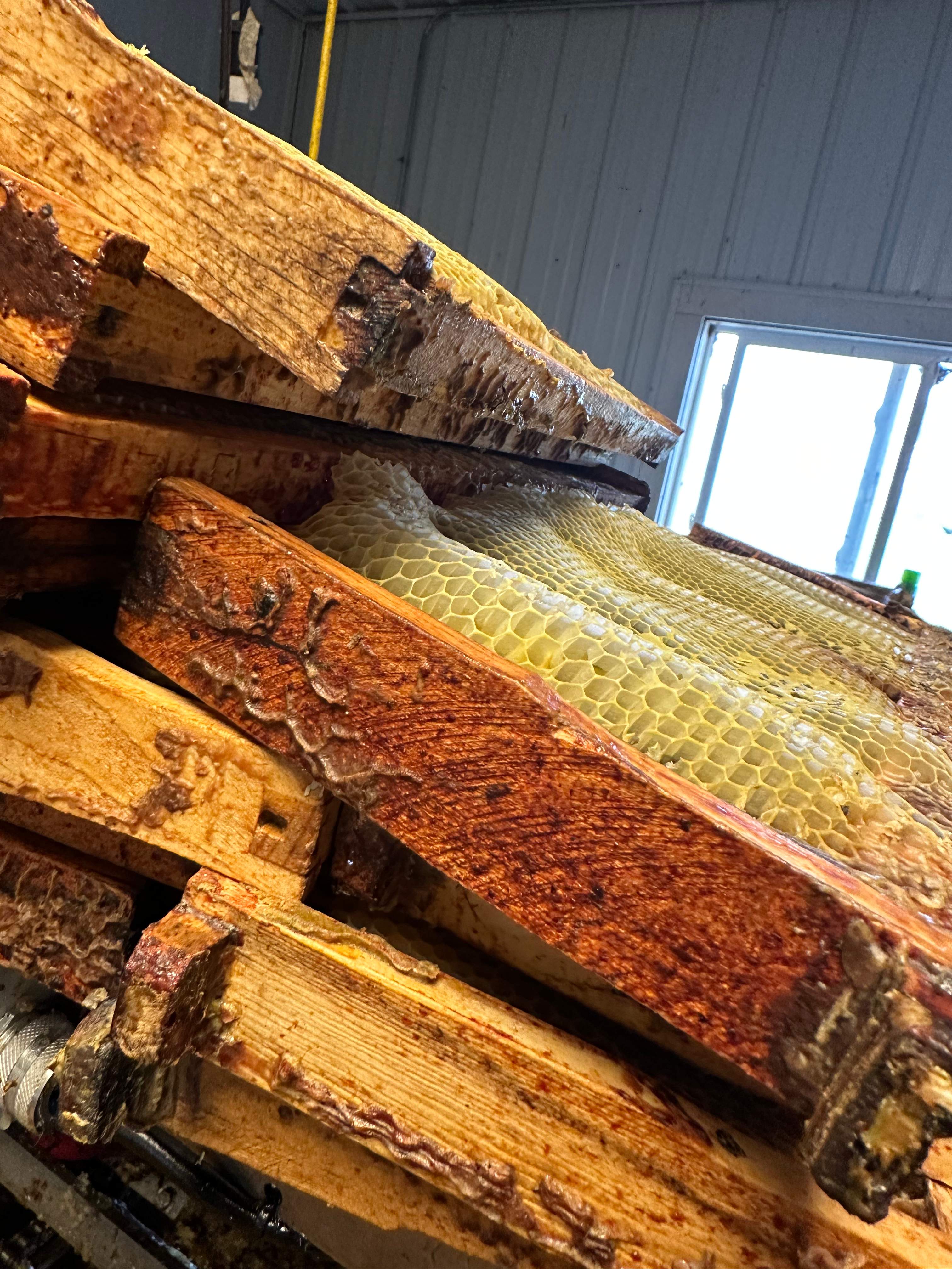 BeeGirl's Honey House in the Midwest by Rockwall Honey Bee Company