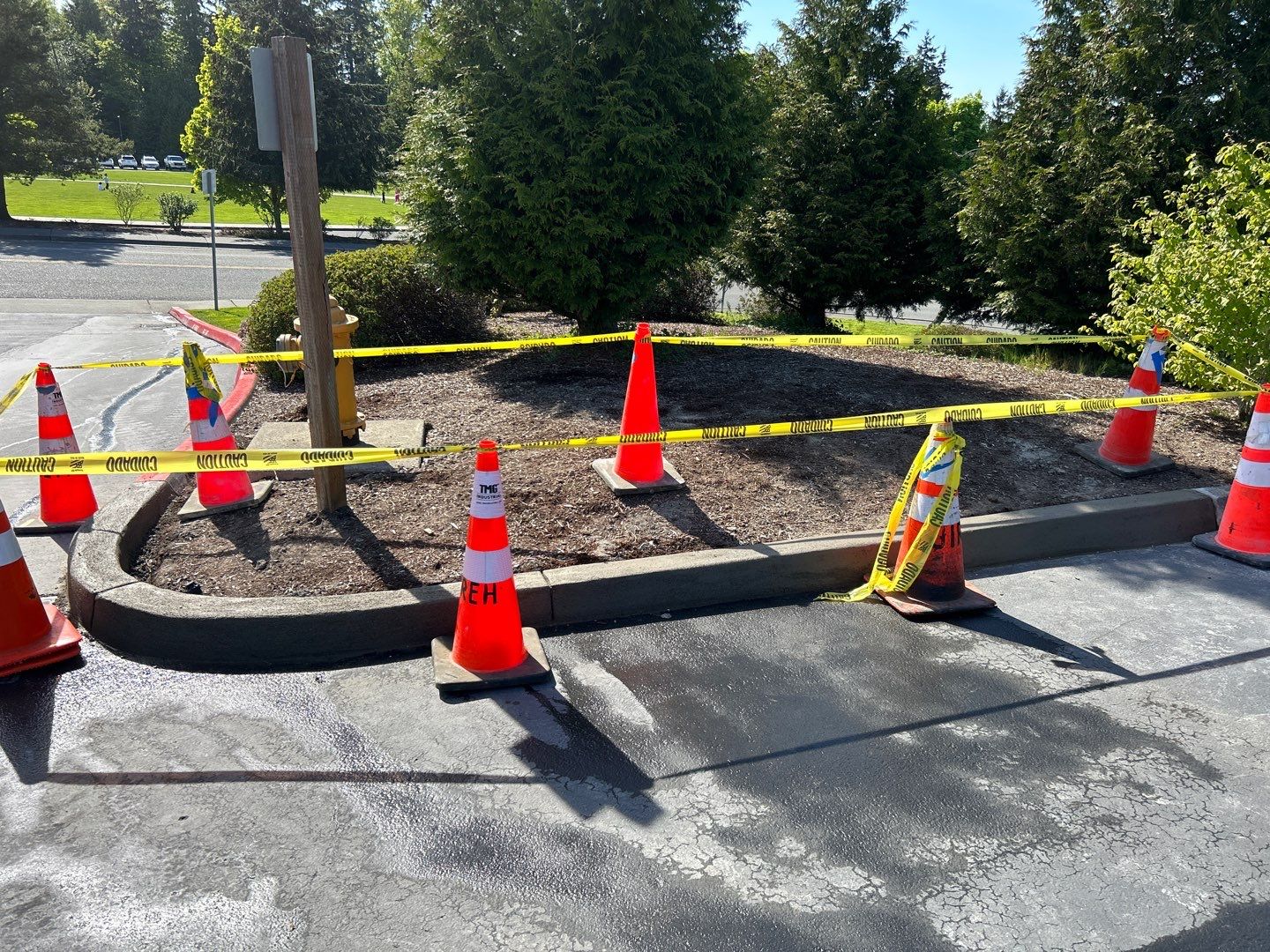 Craig Cook Concrete Curb Repair  by Jireh Asphalt & Concrete Inc 