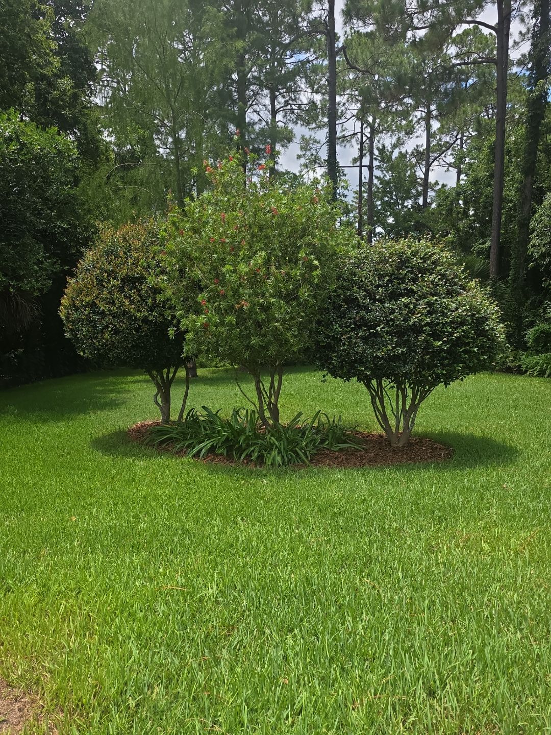 Deerwood Resident | Landscape Project by ProGreen Services