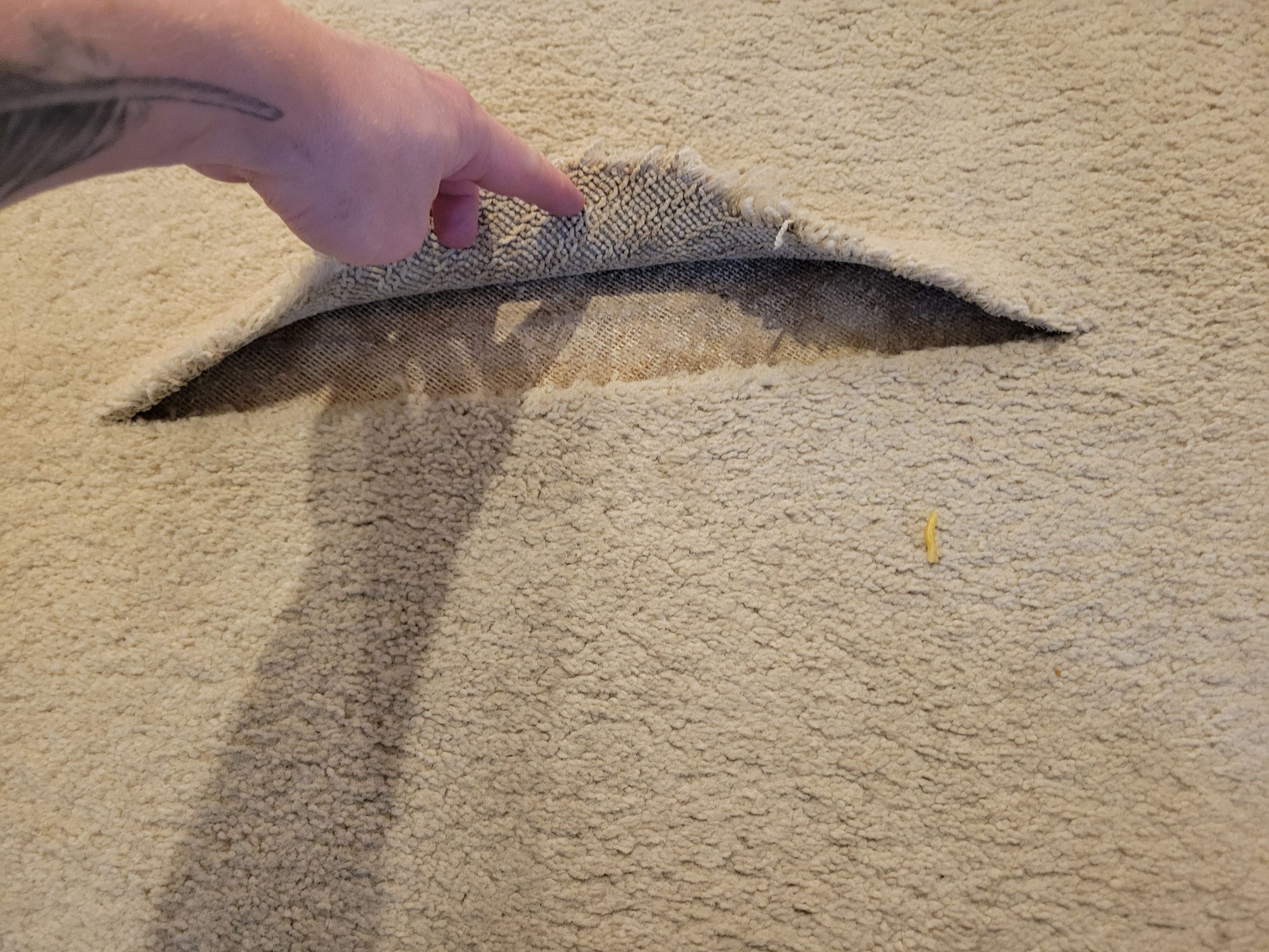 Delaminated Carpet Seam Repair by Ardent Carpet Restore LLC
