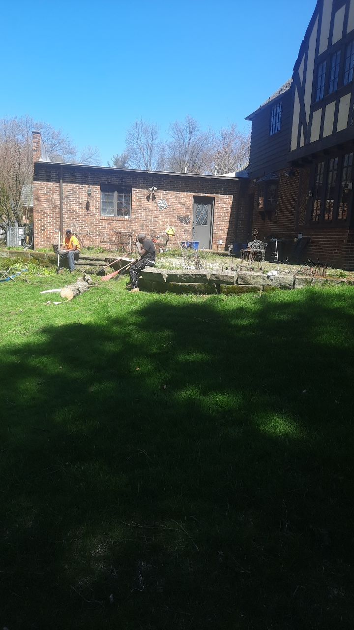 Tree Removal using Tree Removal by Mike Jones & Sons Tree Service LLC 