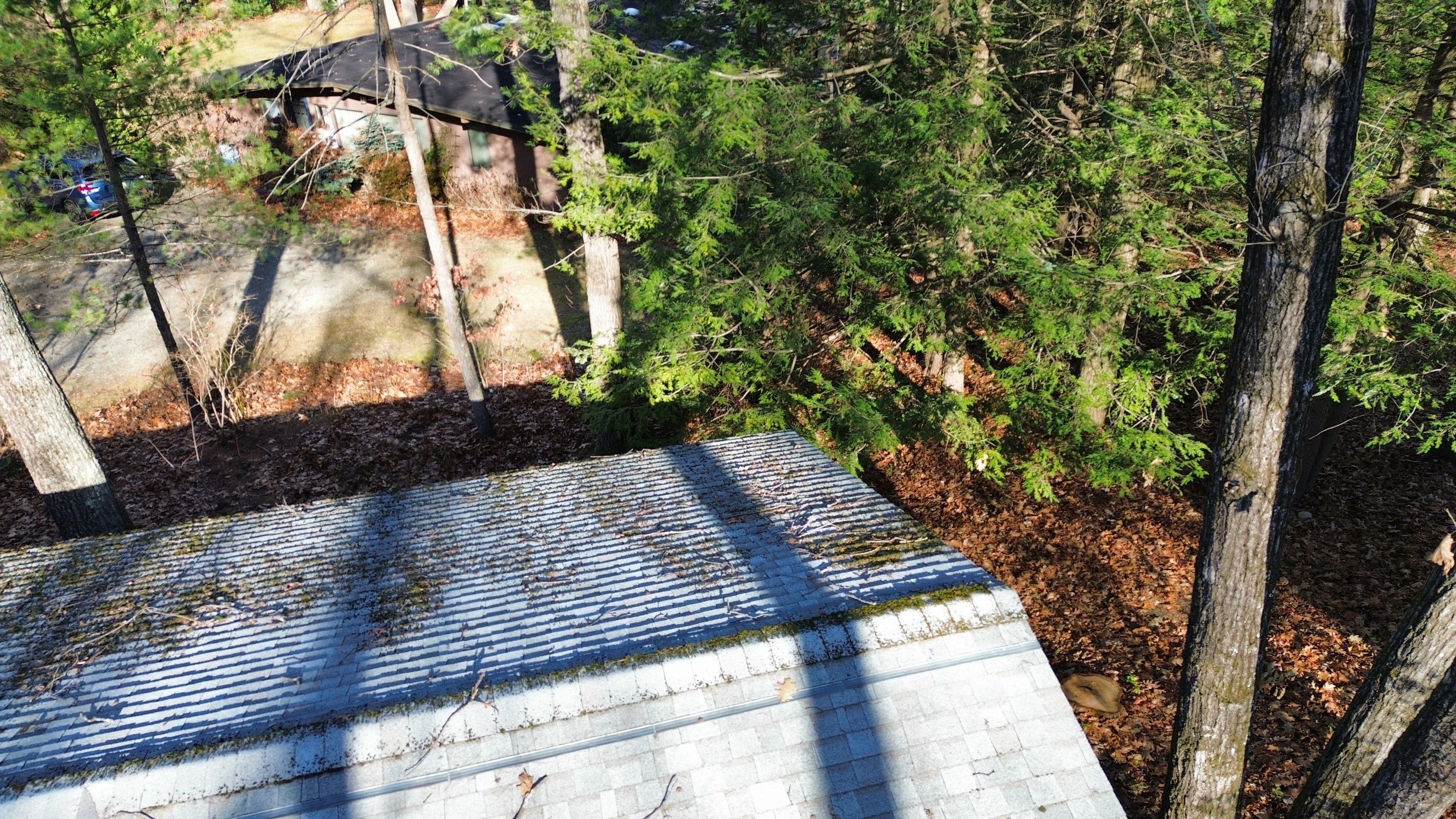 Roofing & Skylights | Concord by Mighty Dog Roofing of Greater Middlesex County