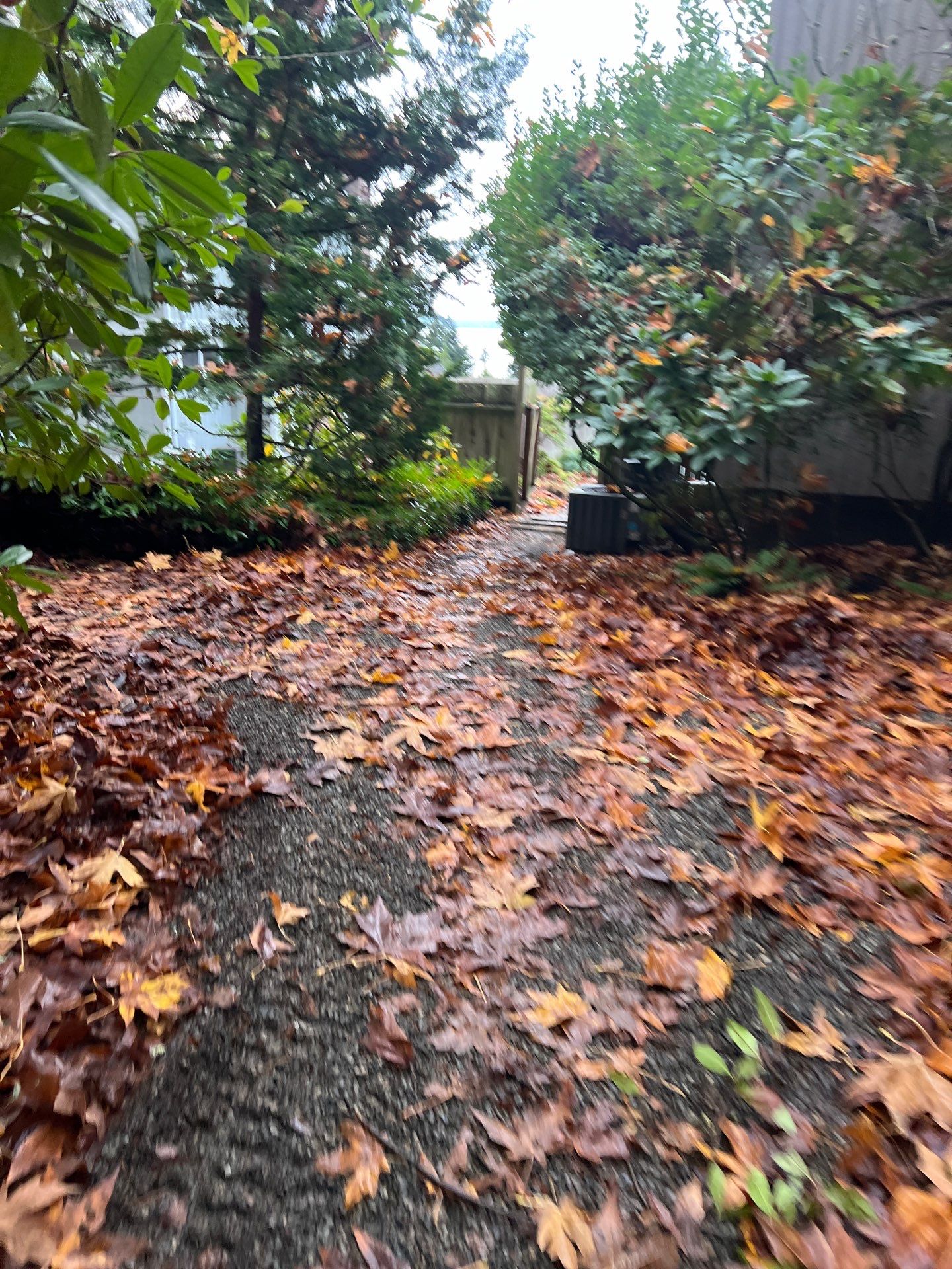 Concrete Patio Renovation | Mukilteo by Jireh Asphalt & Concrete Inc