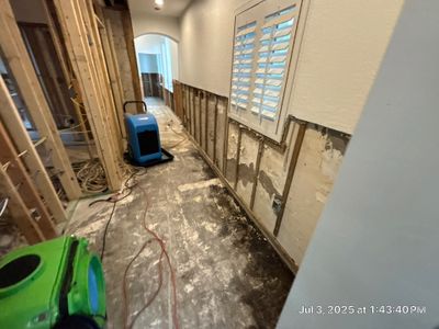 Mold Damage Restoration In Dunedin, Florida 