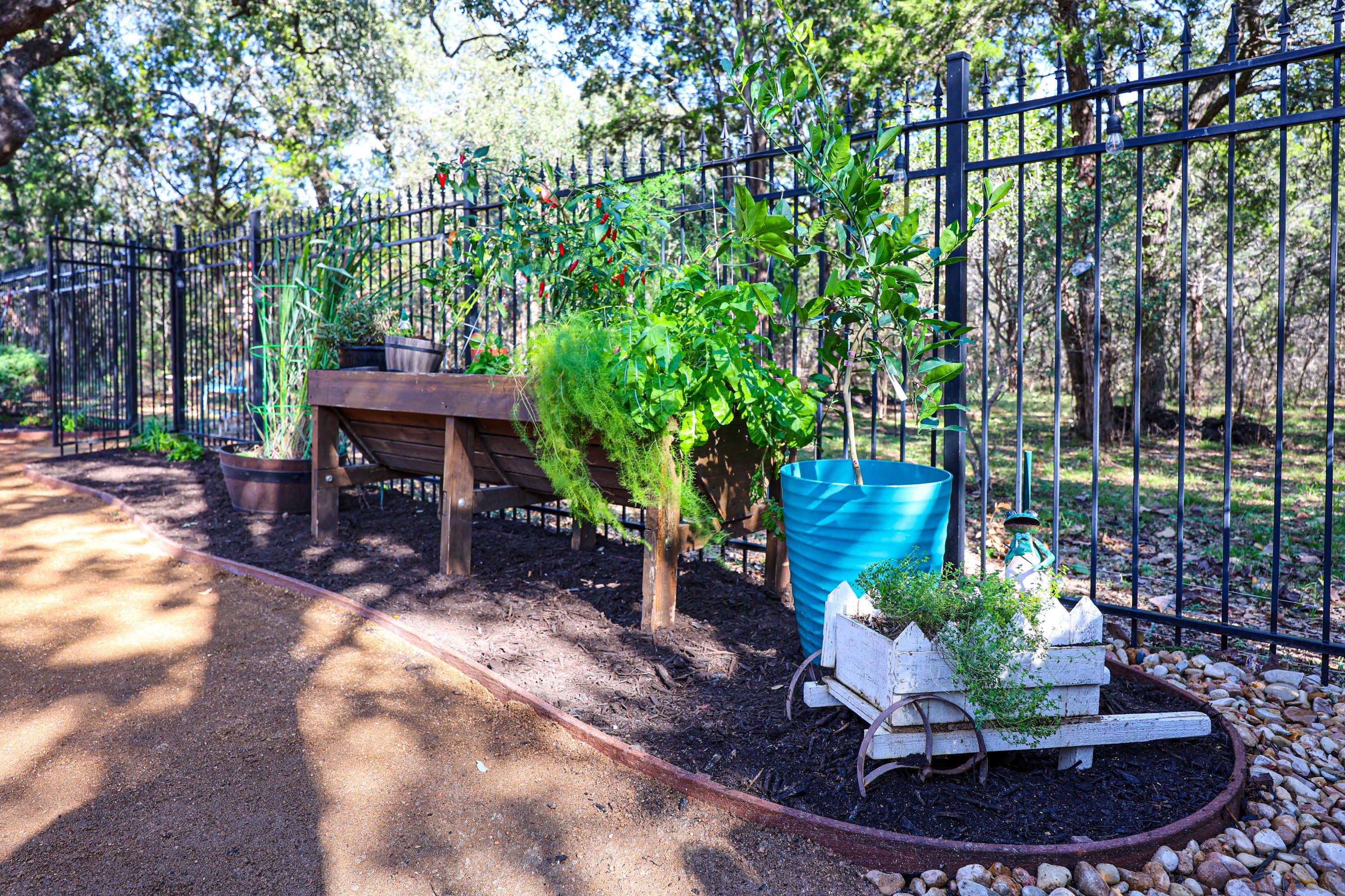 Wortham Oaks, San Antonio Tx. by Hole In One Lawns, LLC