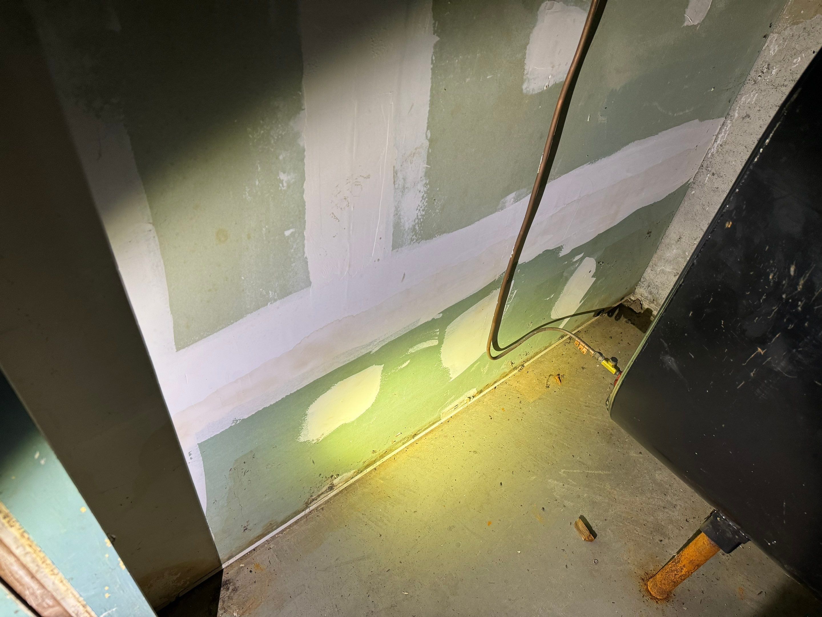 Basement Mold Remediation by Home Guarantee, LLC