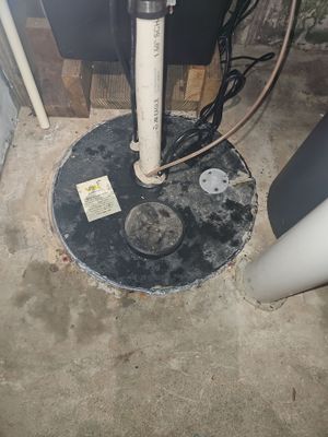 Pro Series Sump Pump Replacement