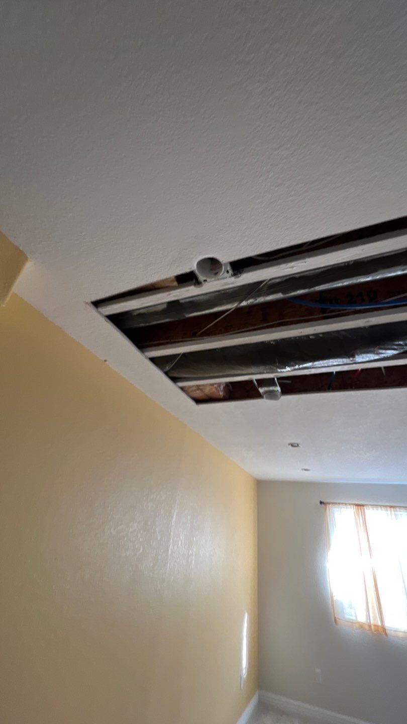 Mold Remediation by Accountable Home Services