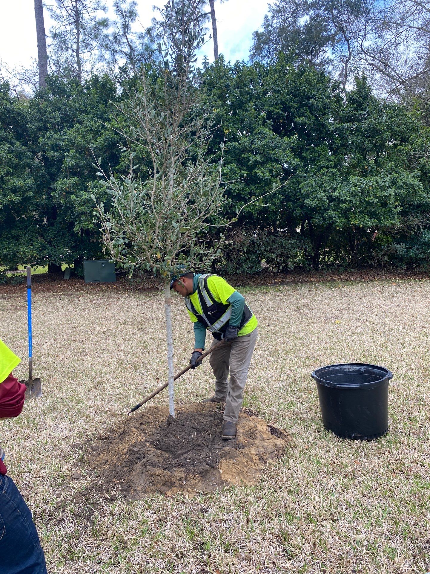 Deerwood Resident | Tree Install by ProGreen Services