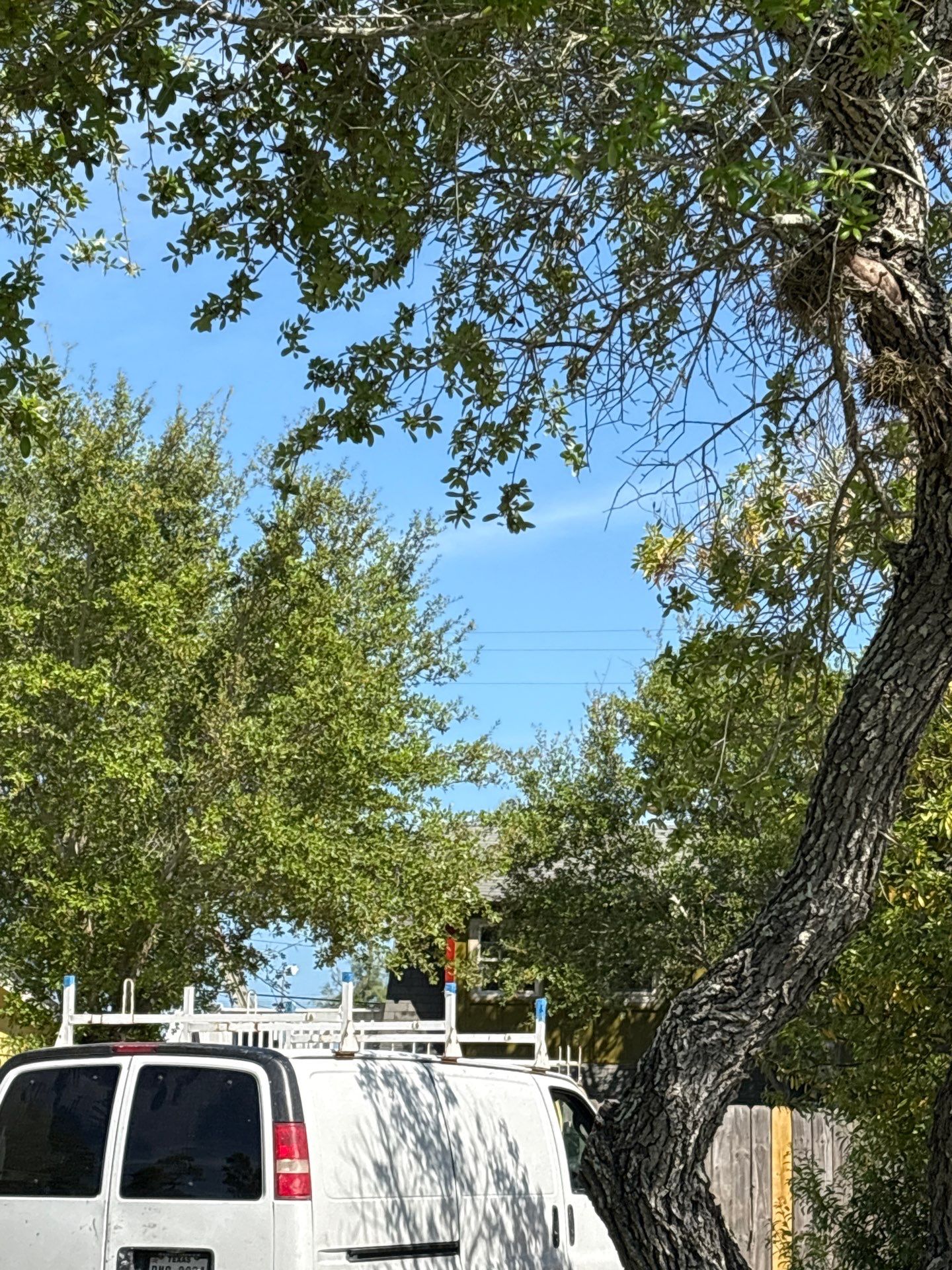 Olive you a Lot! by Bayfront Roofing and Construction