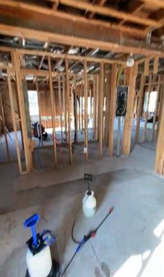 Full Reno with Mold Mitigation