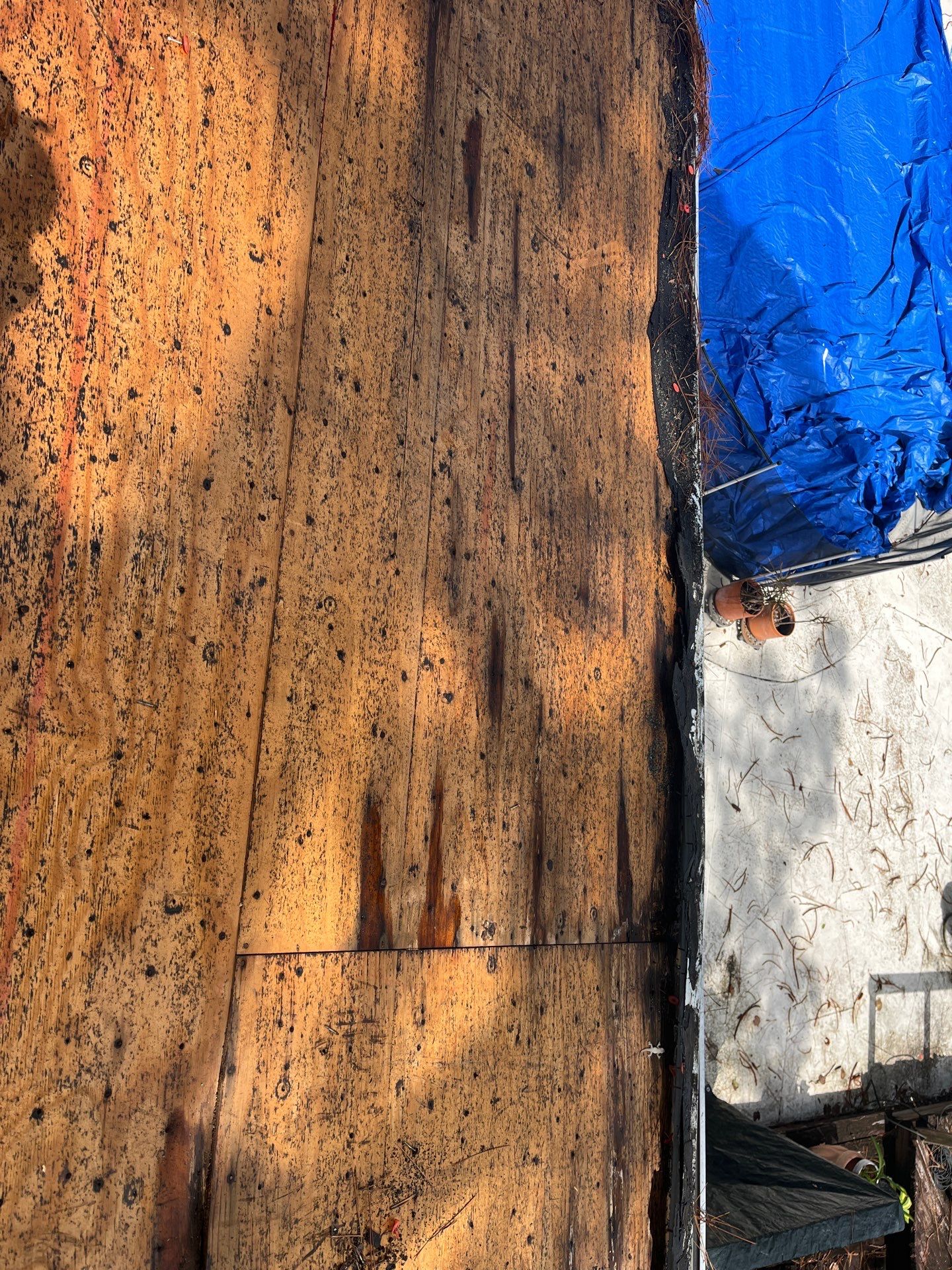 Project in Seminole 33776 by Mitchell Roofing Company LLC