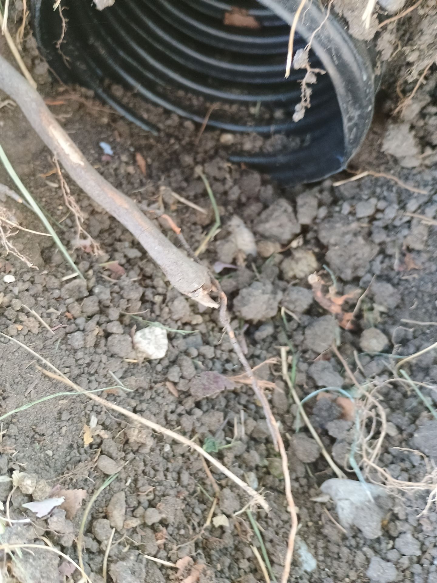 French Drain Installation for Michael by Waterproofing Northeast