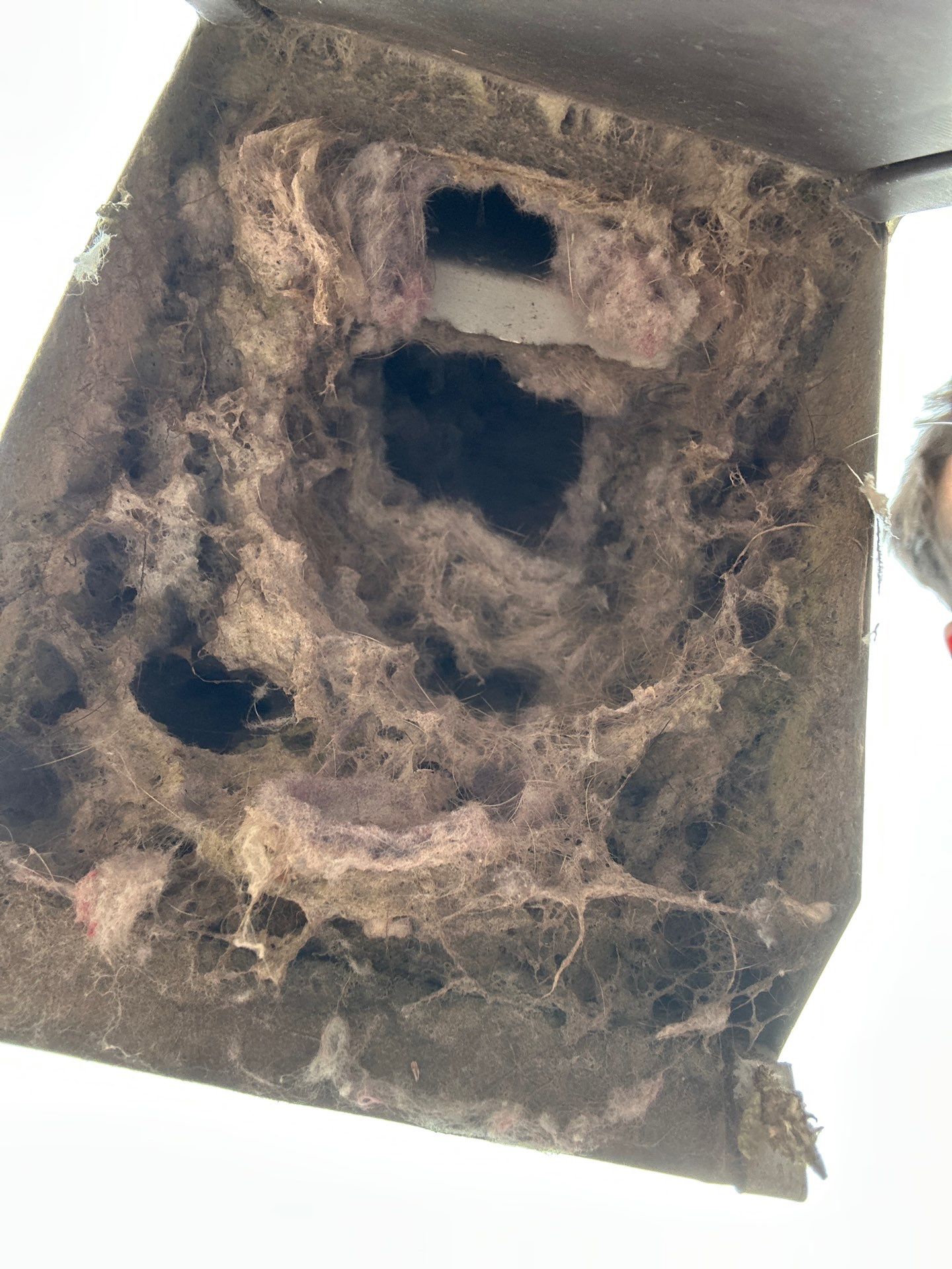 Air Duct Dryer Vent Cleaning Dryer Vent Repair in Minneola by Hygienic Air, Inc