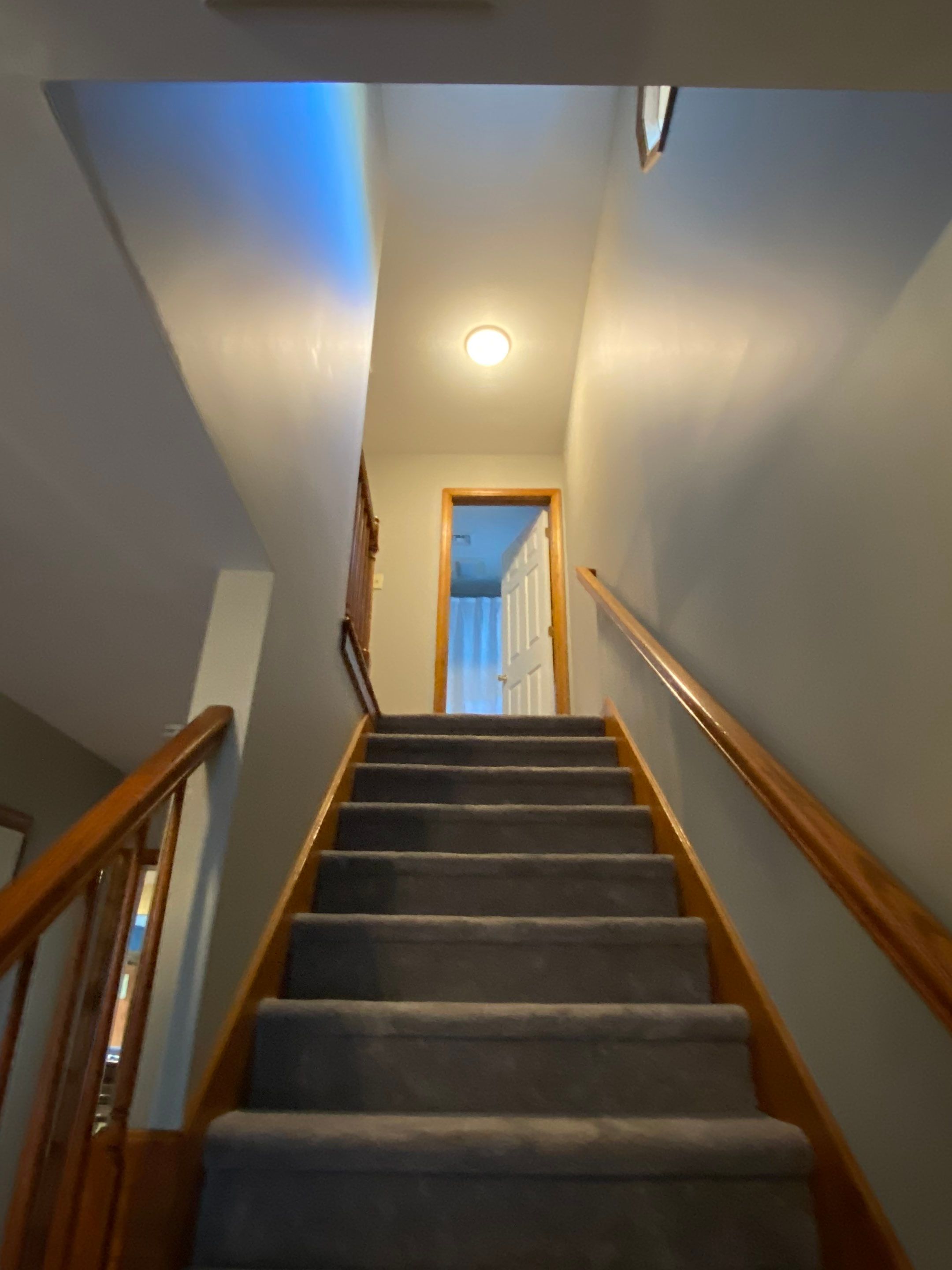 First Floor & Stairway Refresh by Davis Painting Llc 