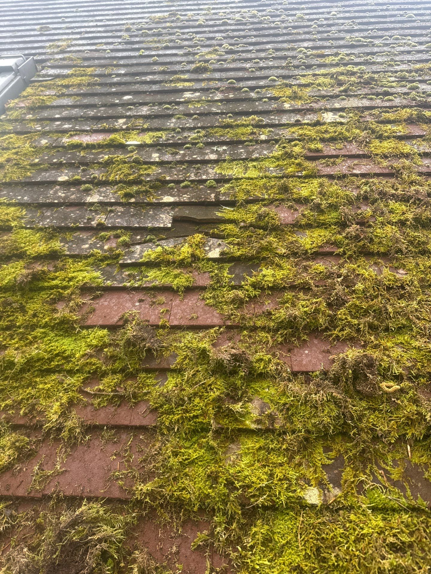 Roof - Driveway - Patio Clean using 18inch Whirlaway FSC by Ges Exterior Cleaning ltd