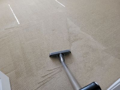 Looped-pile Carpet Cleaning