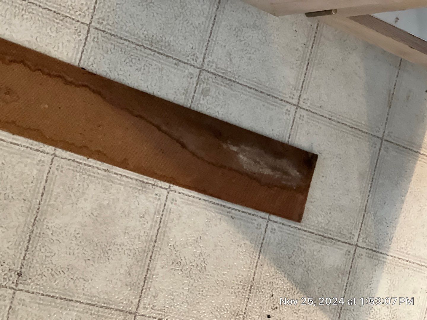 Mold Remediation Palmetto by Ampm Restoration Services 