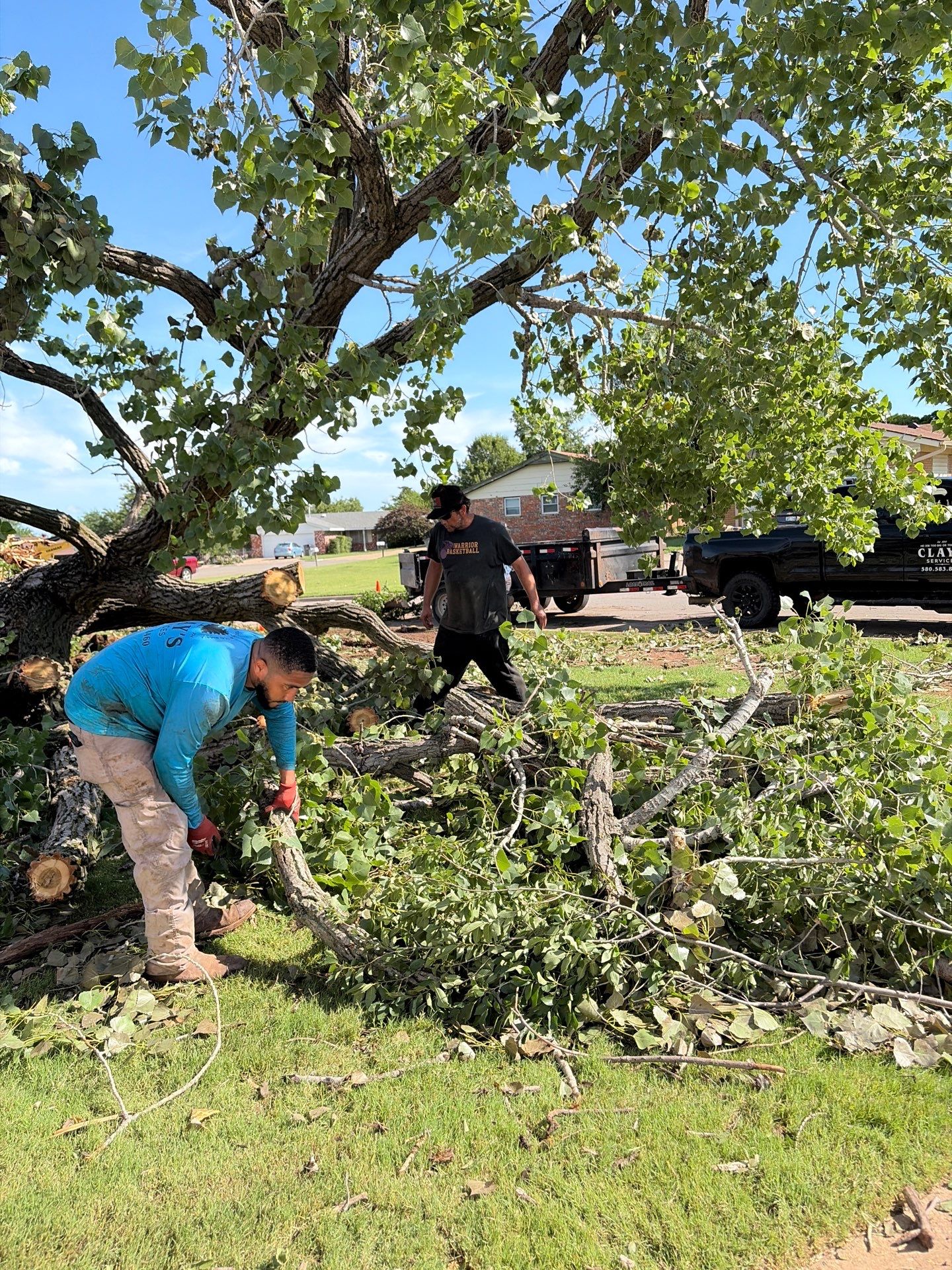 Emergency Tree Removal and Sod Installation Restoration in Lawton by Clays Services Inc