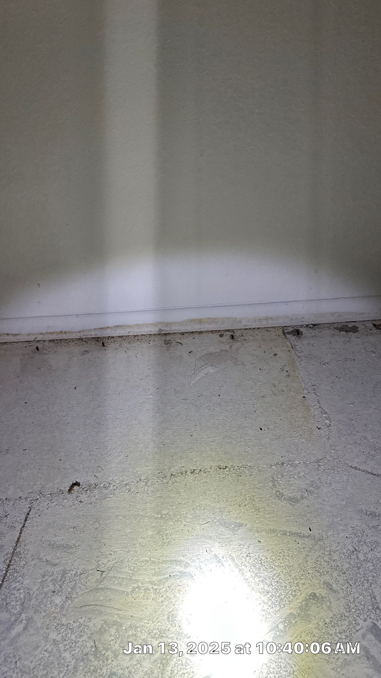 Mold Assessment using IR Camera, Moisture Meter, Air Cassette samples and Tape lifts by Building performance Solutions LLC