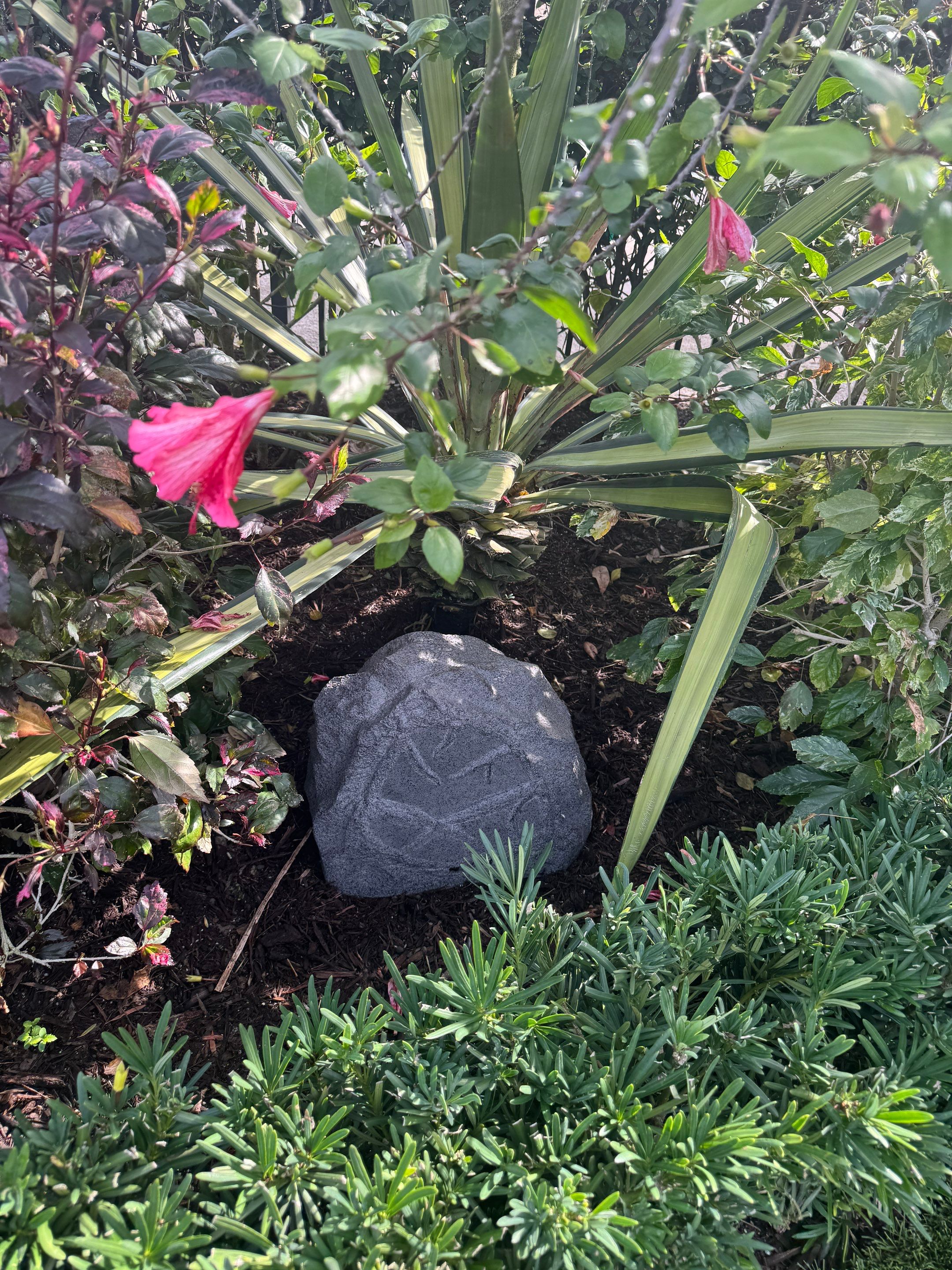 Landscape Speaker Replacement using Sonance RK83 Outdoor Rock Speaker by Creative Media Designs