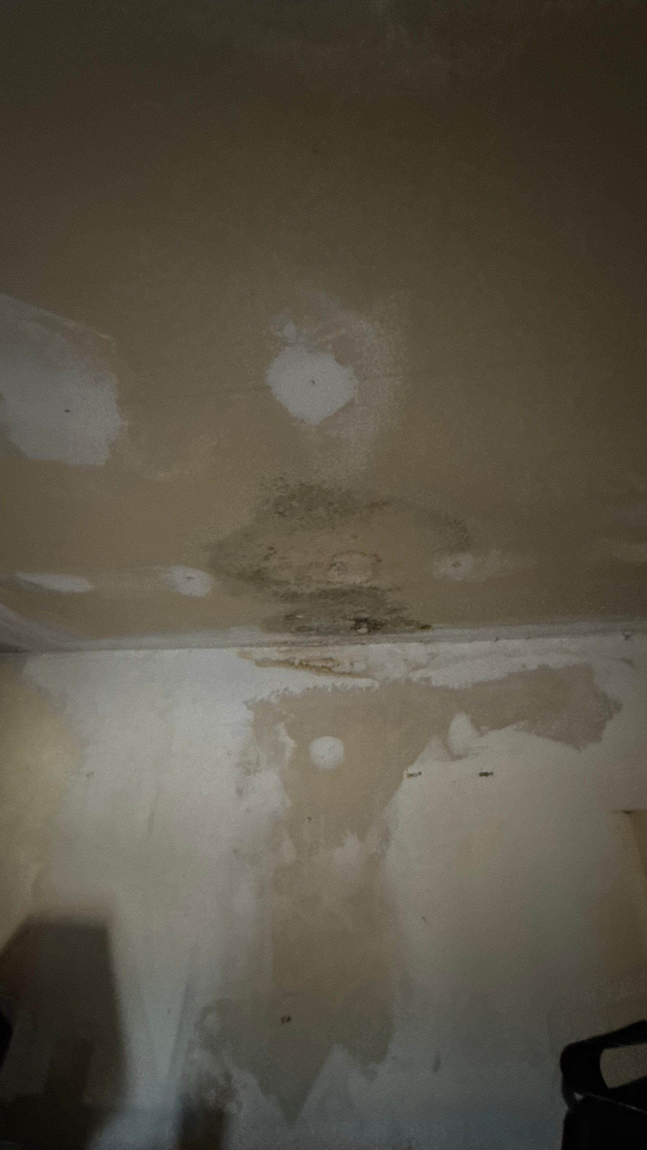 Roof Leak Repair + Fascia/Drip Edge & Gutter Reset - Belleville, IL by Legendary Services Company LLC.