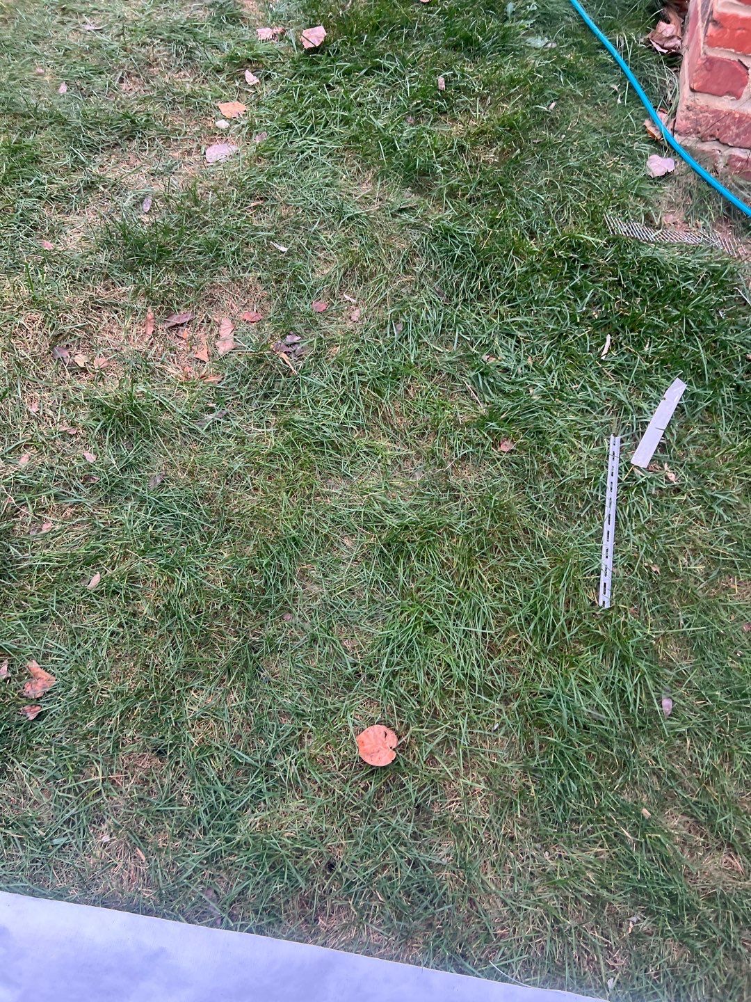 Arlington: Residential Roof Replacement with CertainTeed Landmark Pro in Max Def Georgetown Gray by RM Banning, Inc.