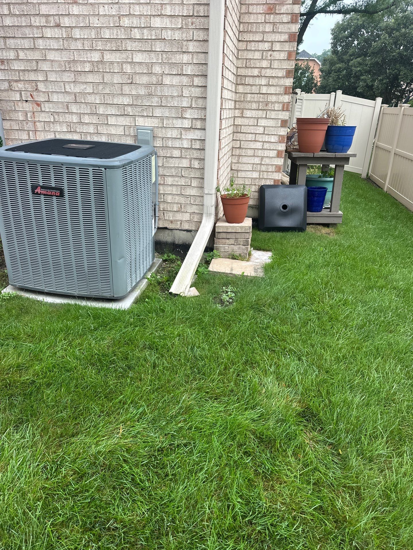Marie R. - Glenview, IL by A&N 